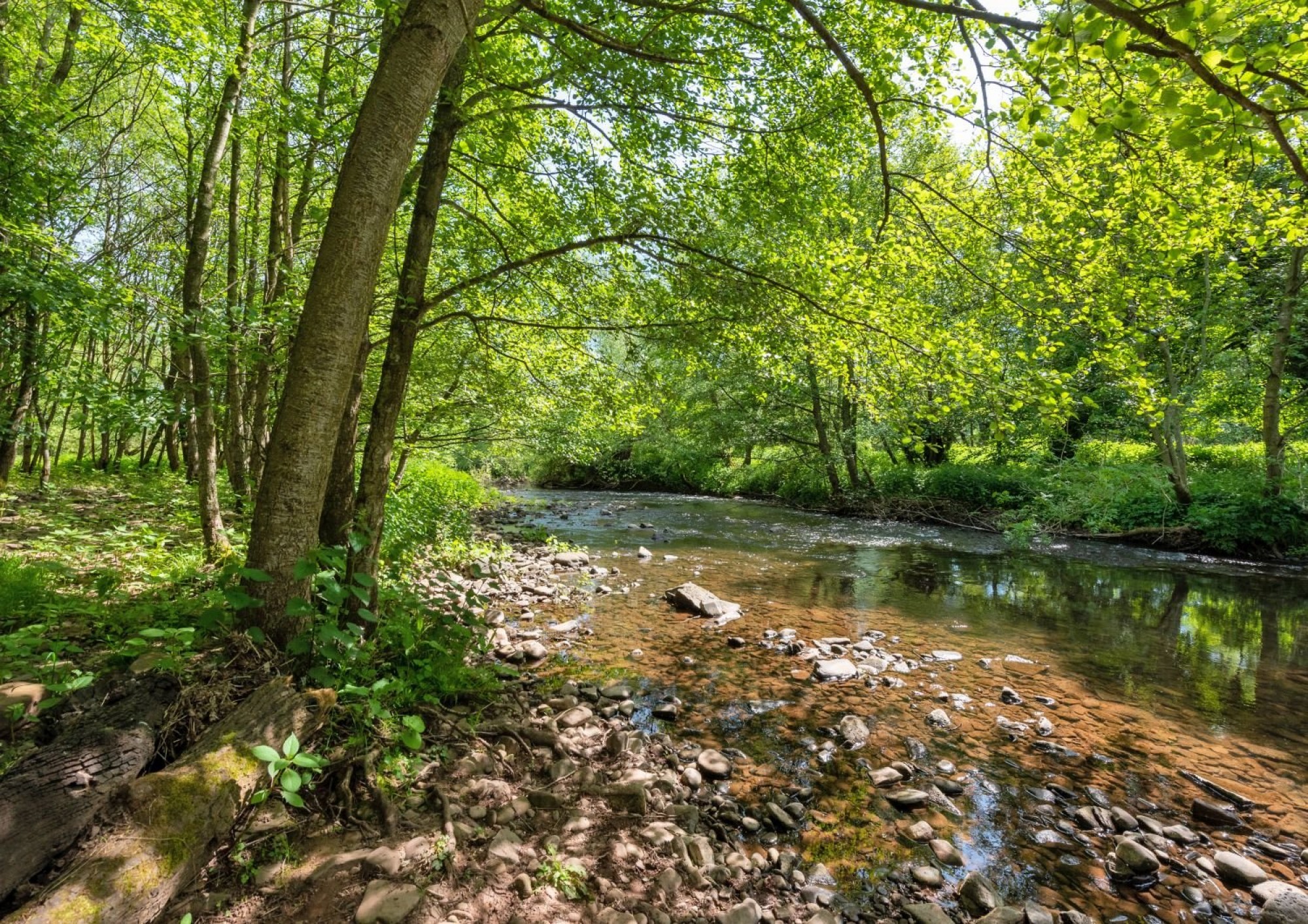 Images for Bronllys, Brecon, Powys