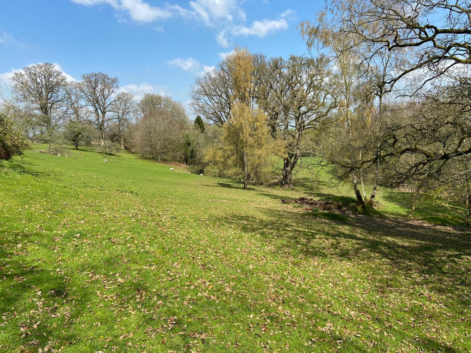 Images for Bronllys, Brecon, Powys