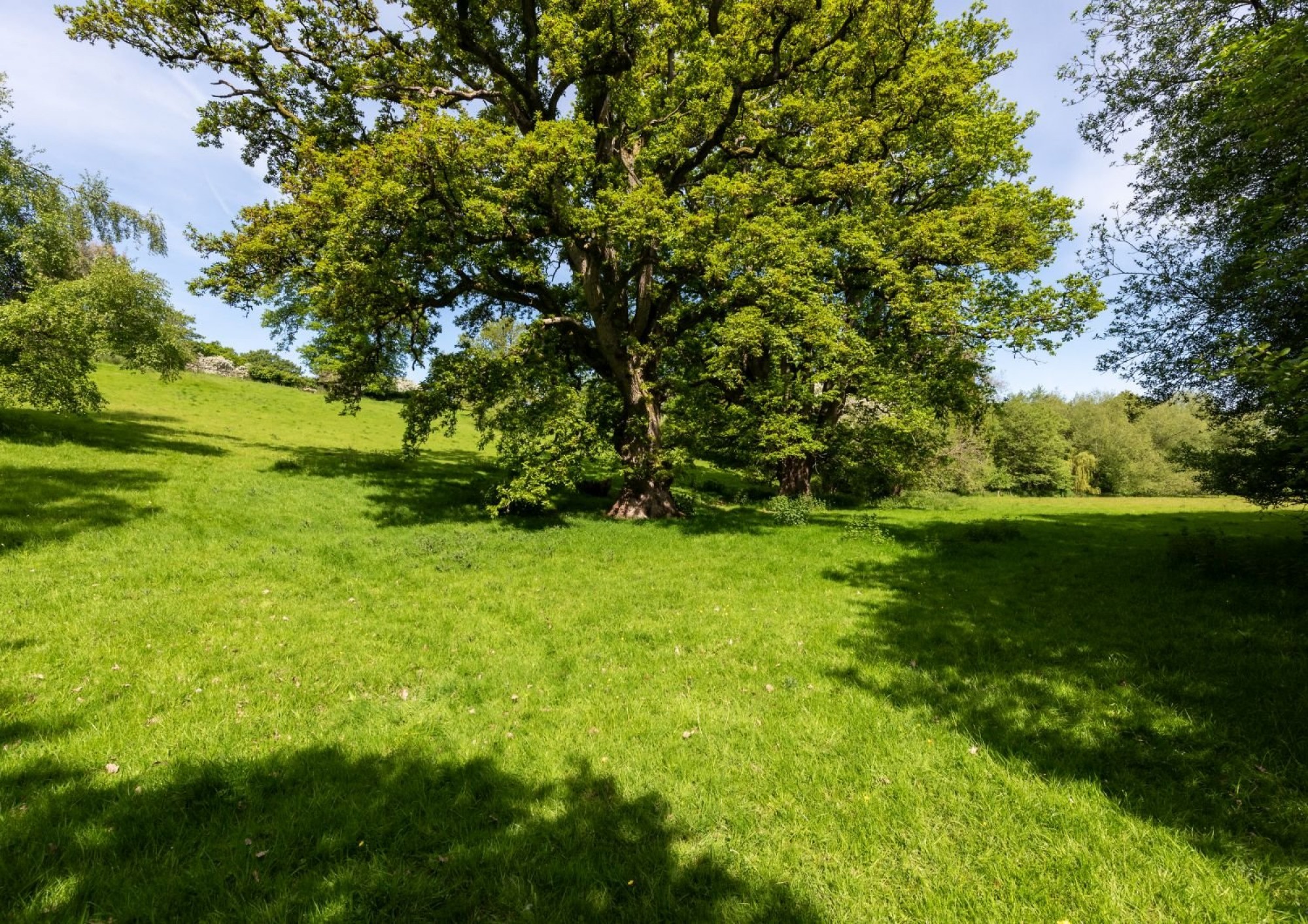 Images for Bronllys, Brecon, Powys