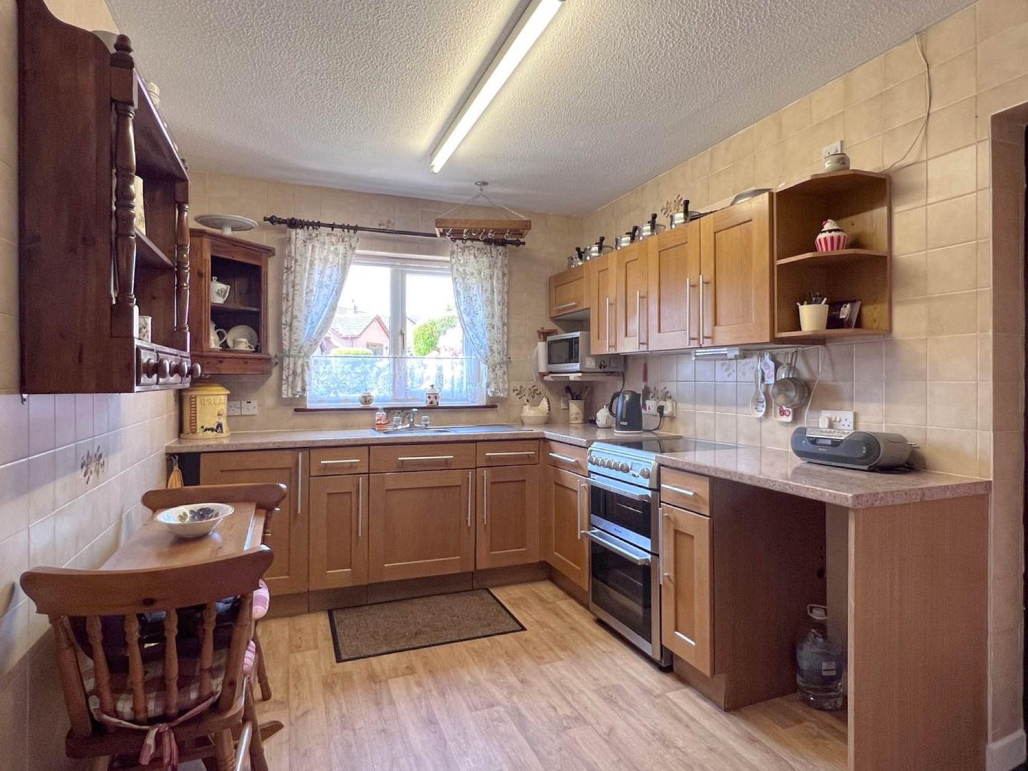 Images for Daffodil Wood, Builth Wells, Powys
