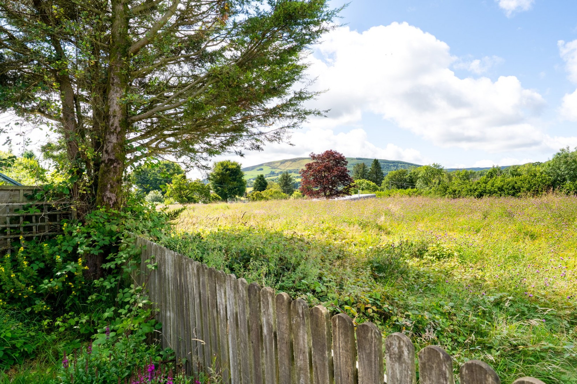 Images for Erw Haf, Llanwrtyd Wells, Powys