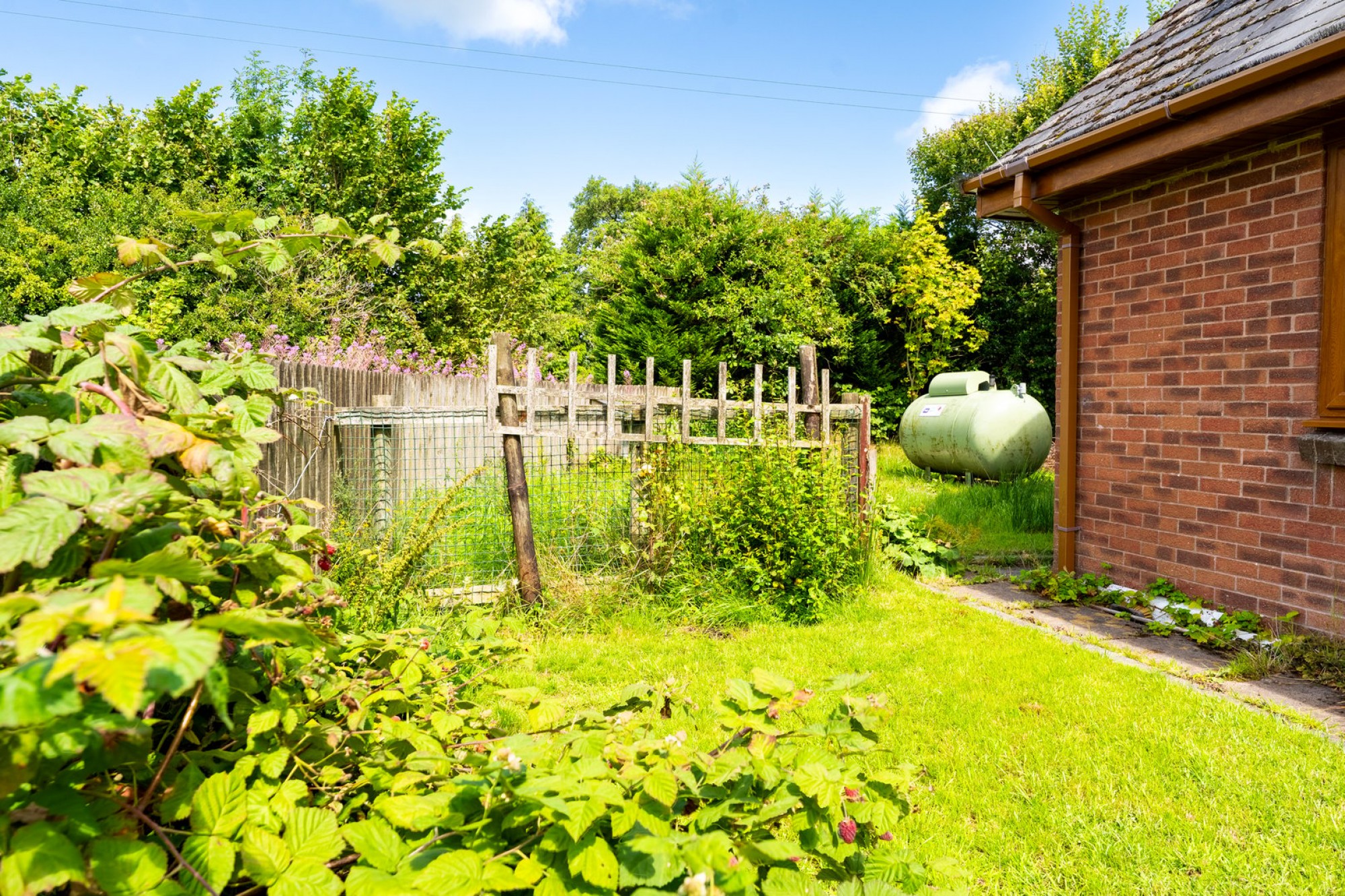 Images for Erw Haf, Llanwrtyd Wells, Powys