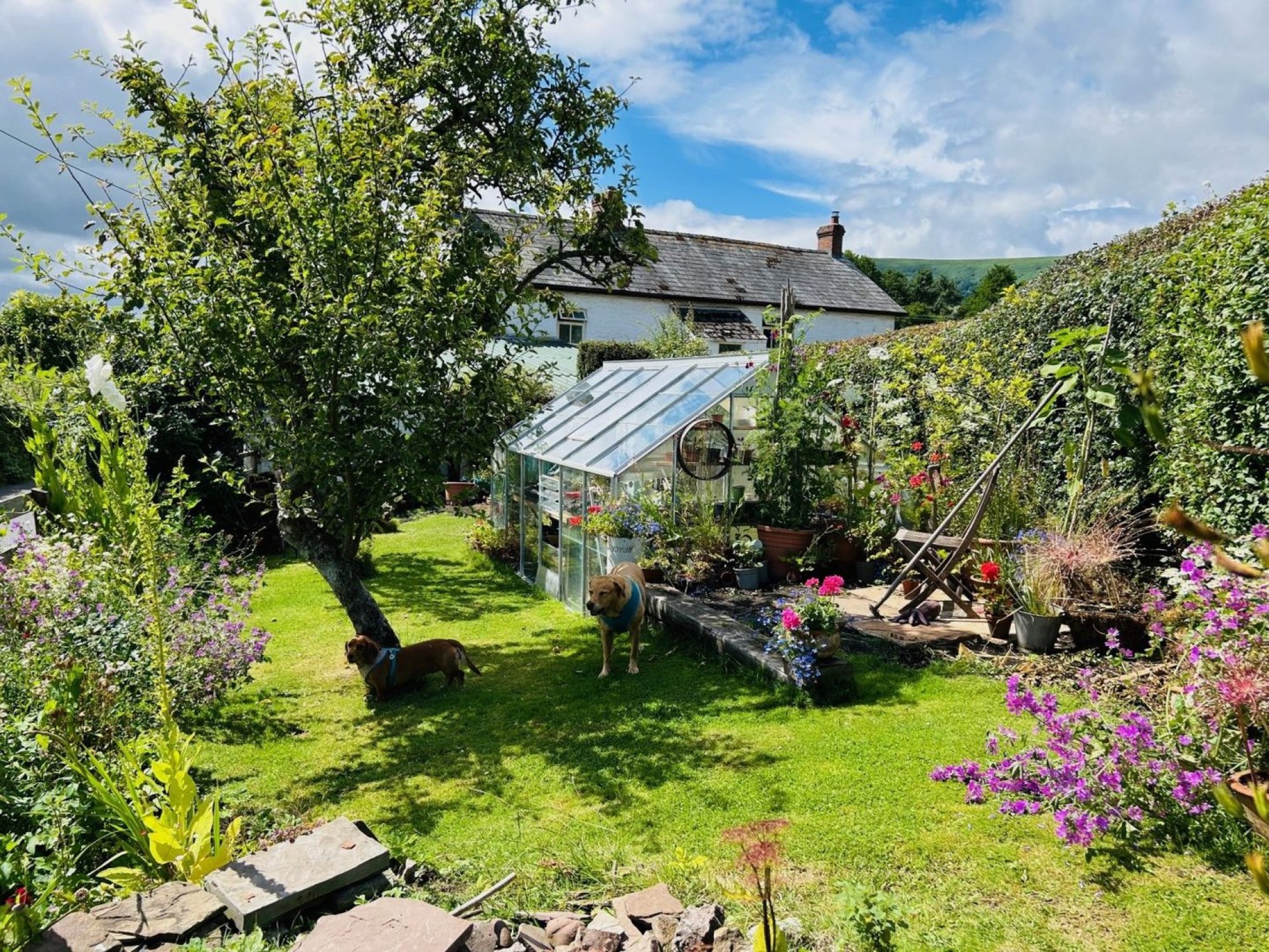 Images for Longtown, Hereford