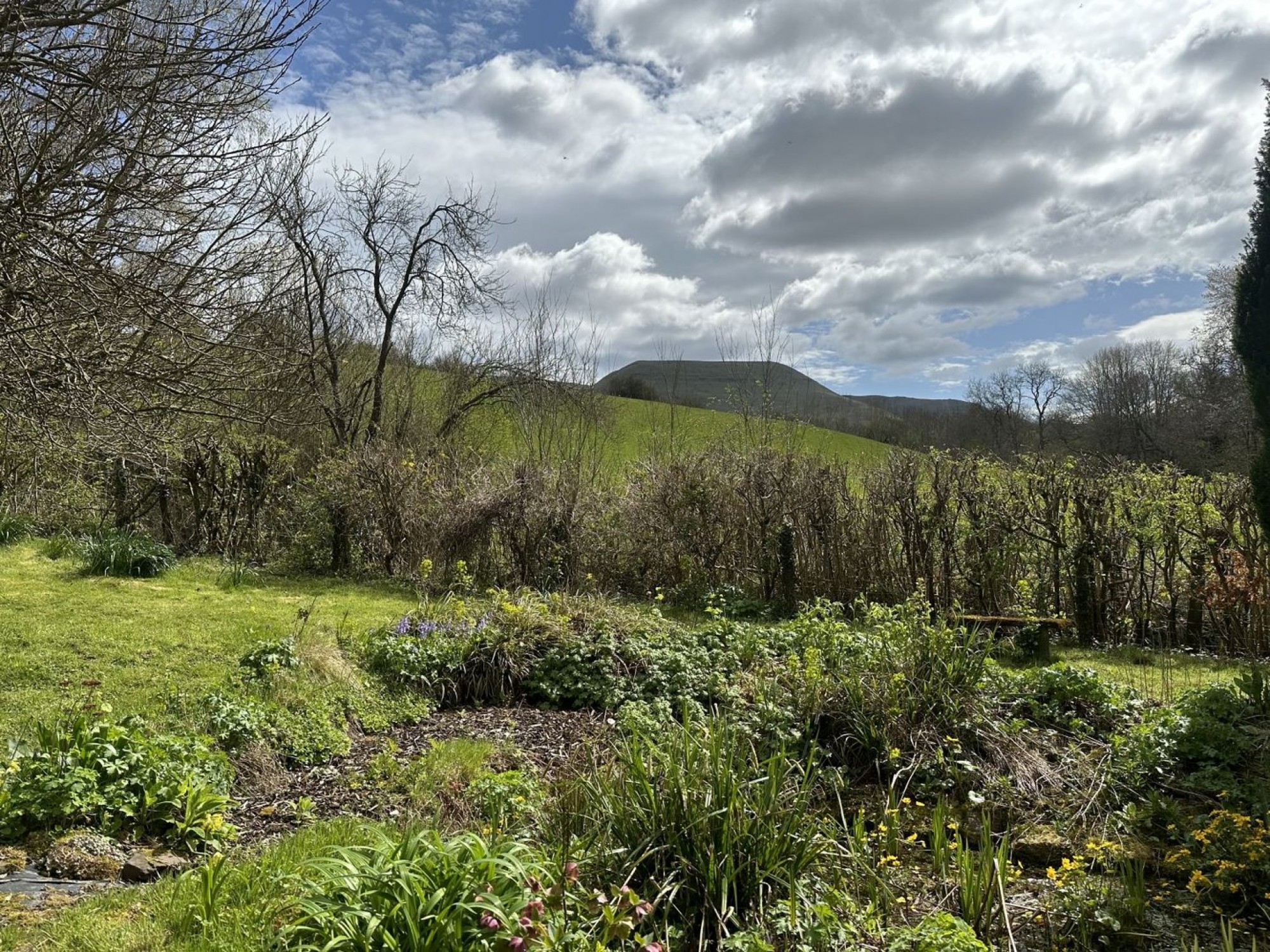 Images for Talgarth, Brecon, Powys