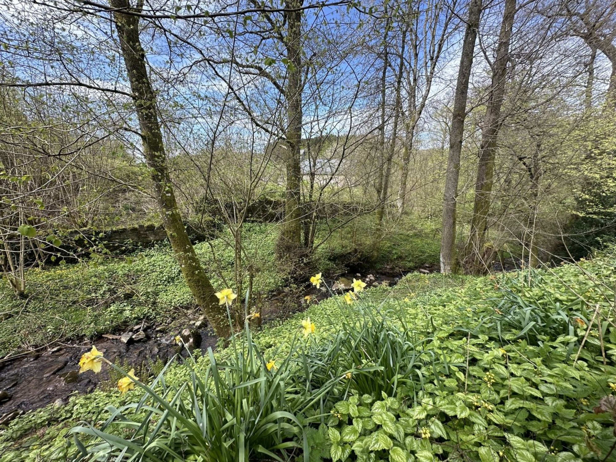 Images for Talgarth, Brecon, Powys