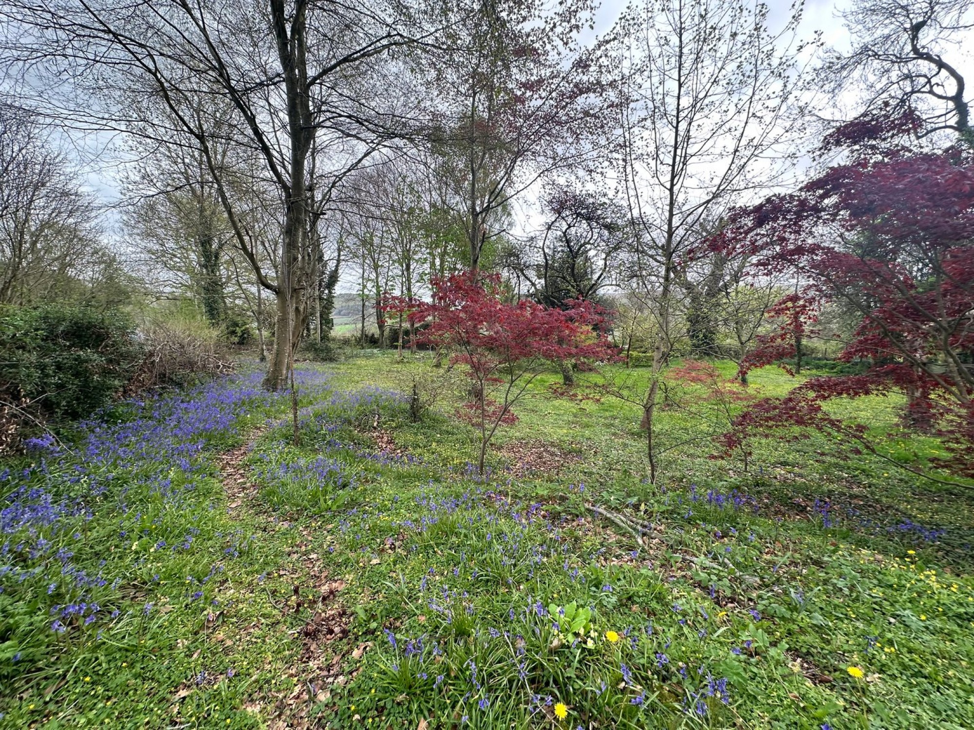 Images for Bwlch, Brecon, Powys