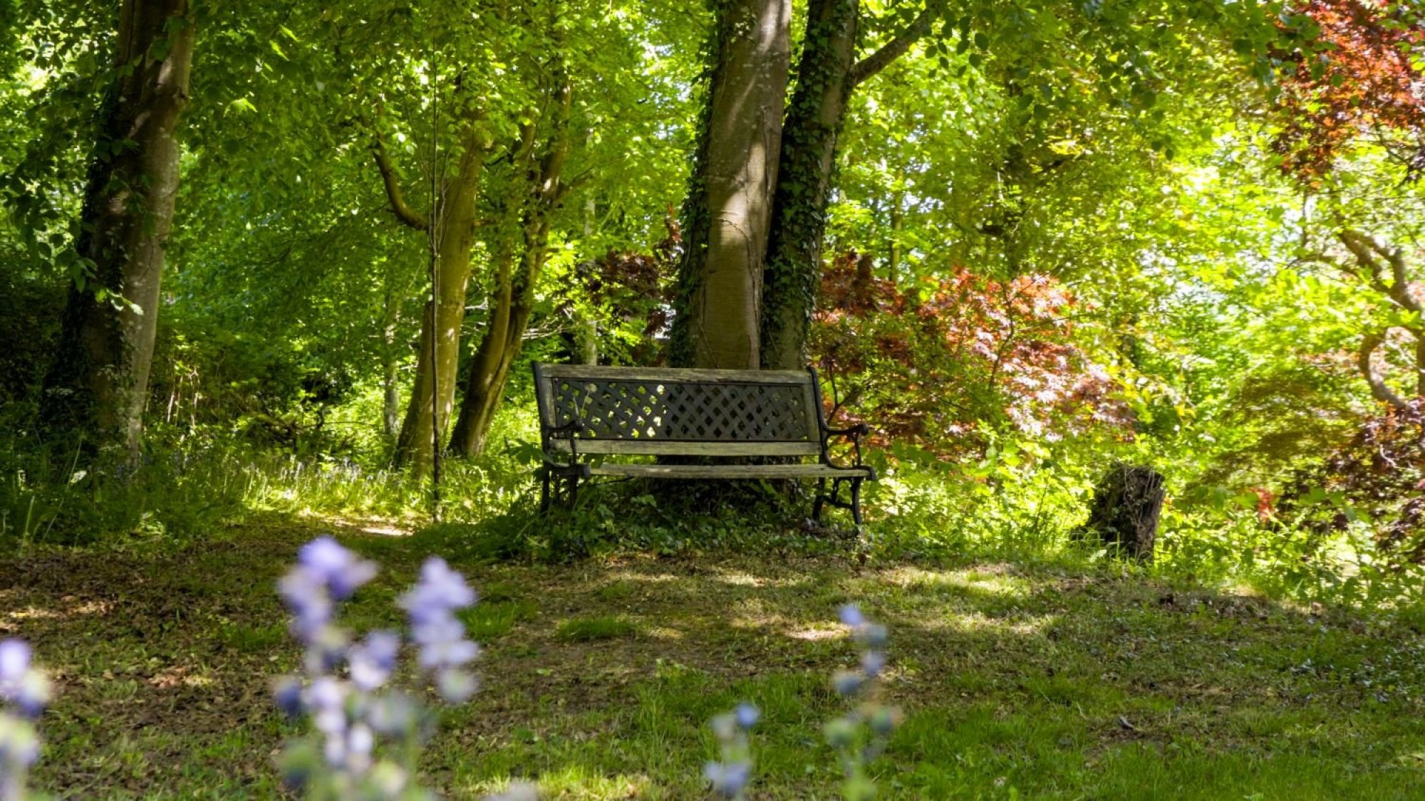 Images for Bwlch, Brecon, Powys