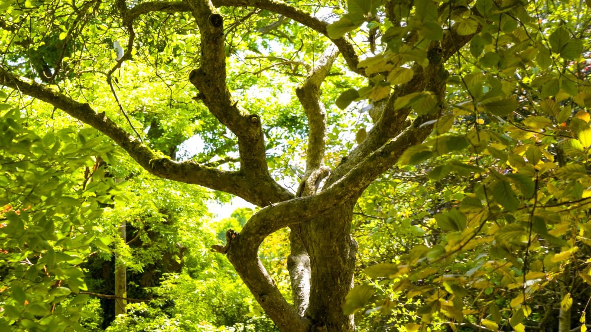 Images for Bwlch, Brecon, Powys