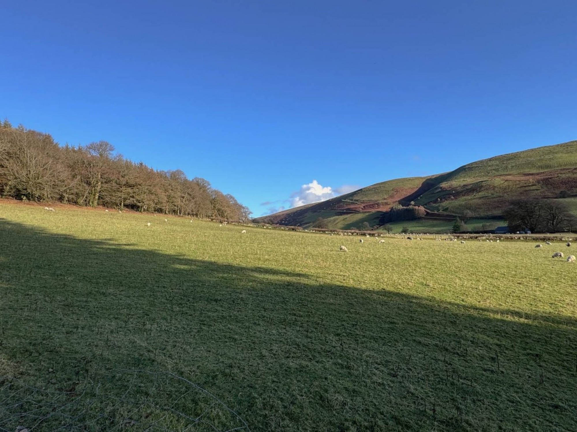 Images for Abergwesyn, Llanwrtyd Wells, Powys