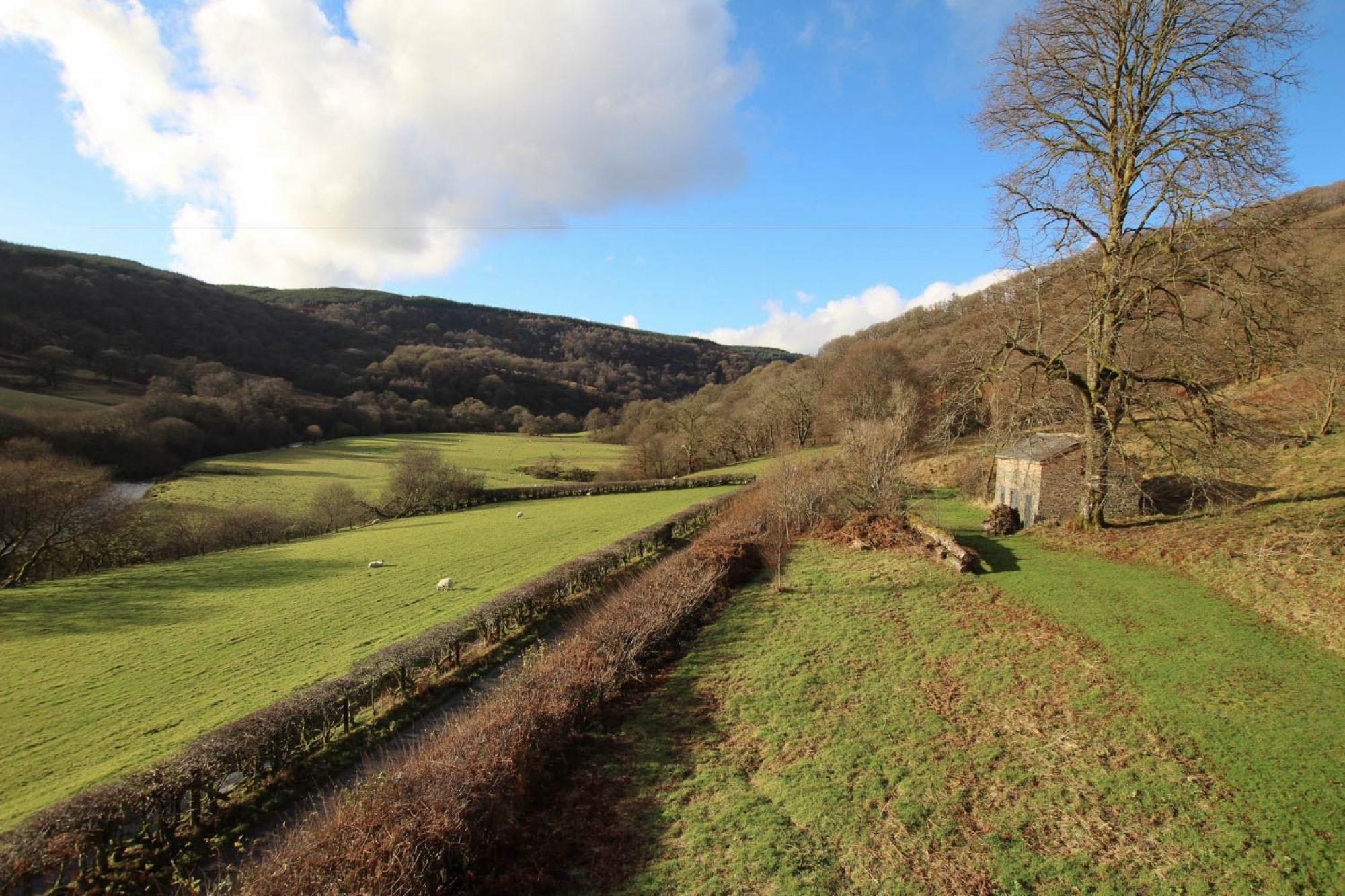 Images for Abergwesyn, Llanwrtyd Wells, Powys