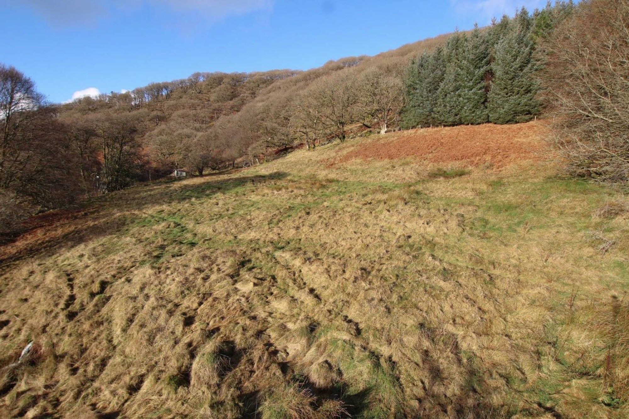 Images for Abergwesyn, Llanwrtyd Wells, Powys