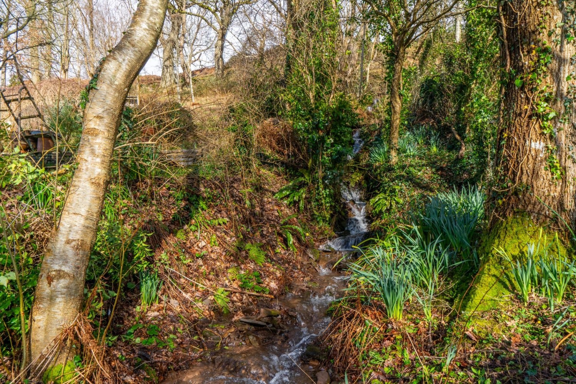 Images for Bwlch, Brecon, Powys