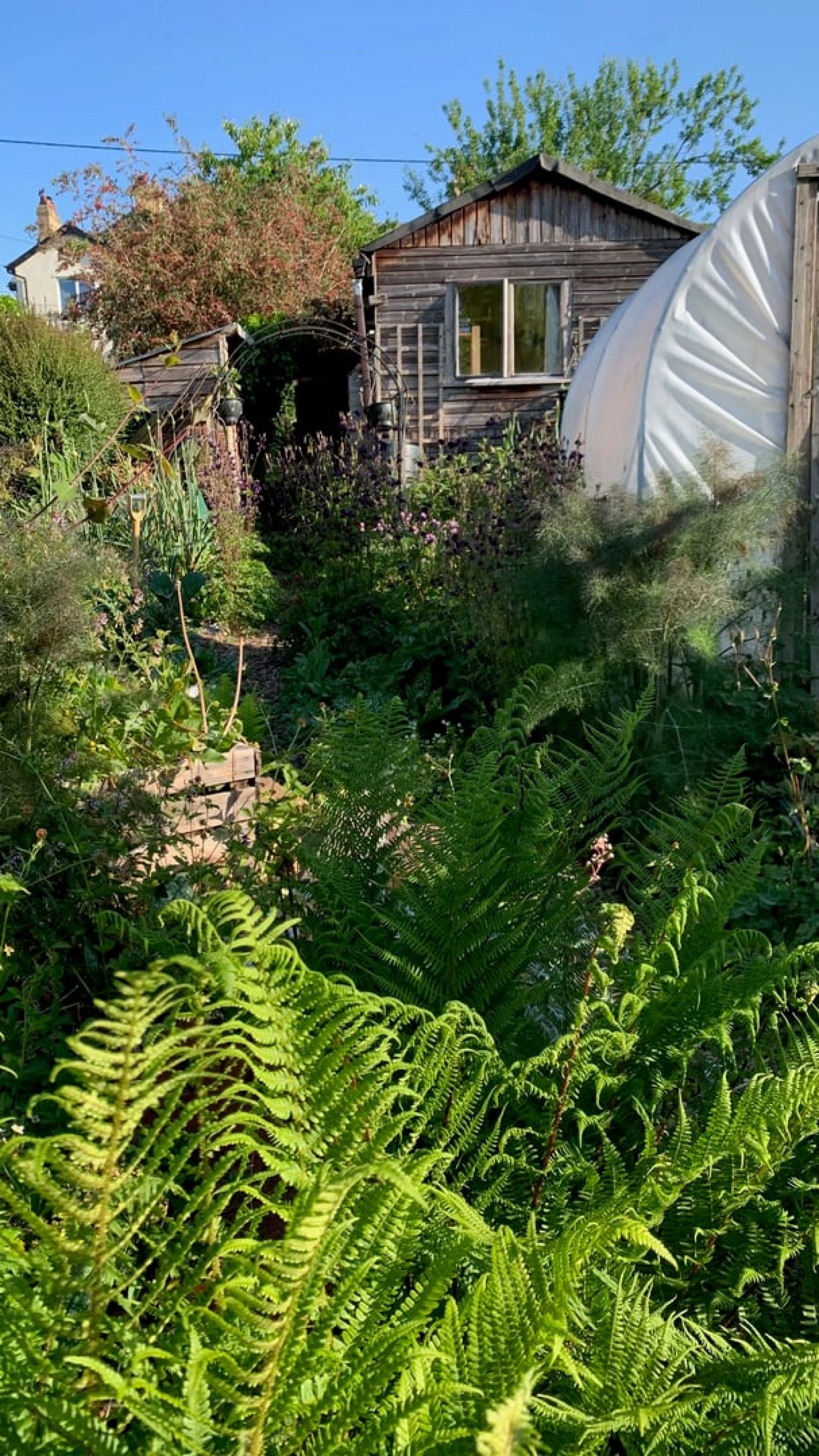 Images for Talyllyn, Brecon, Powys