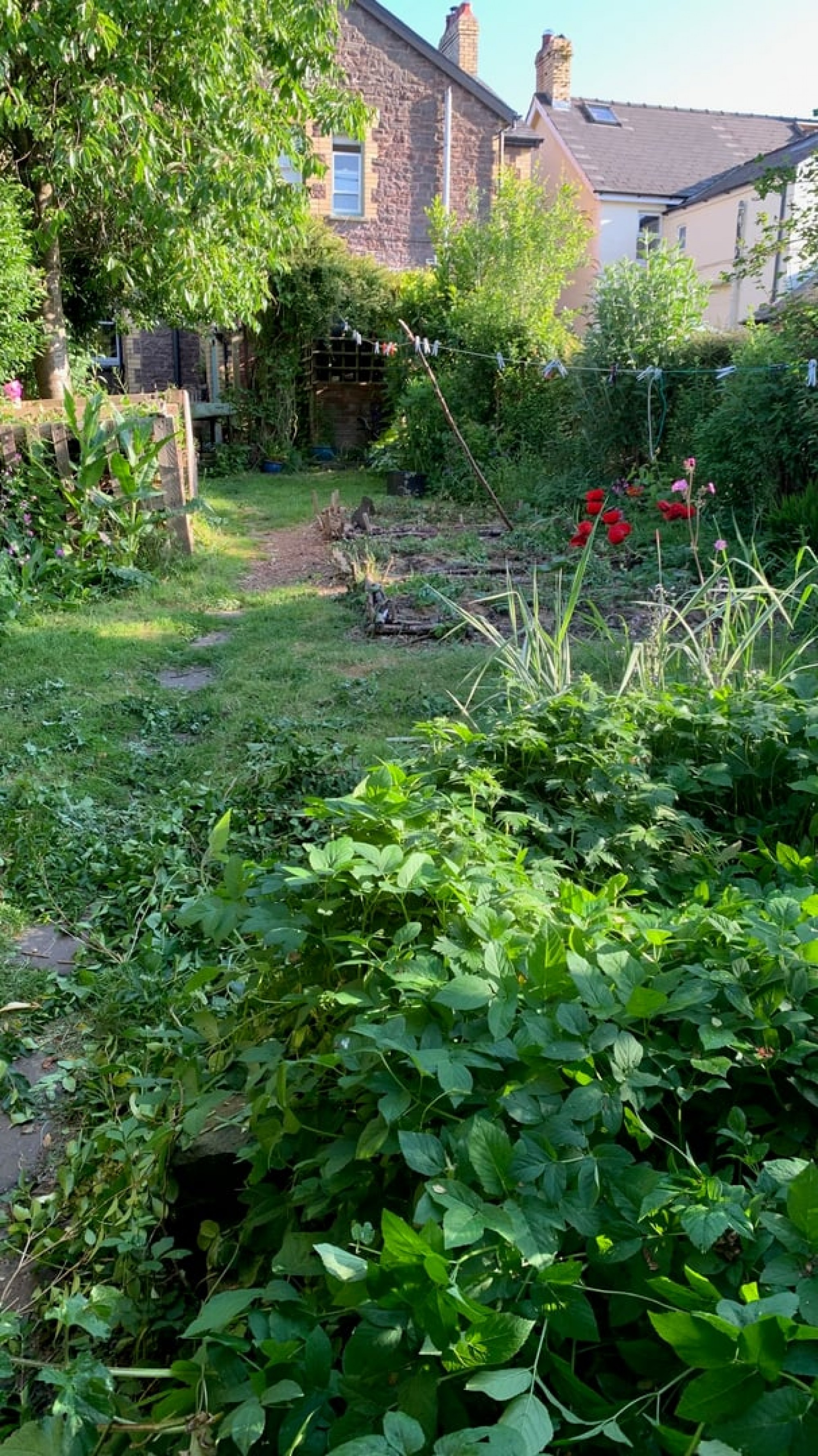 Images for Talyllyn, Brecon, Powys