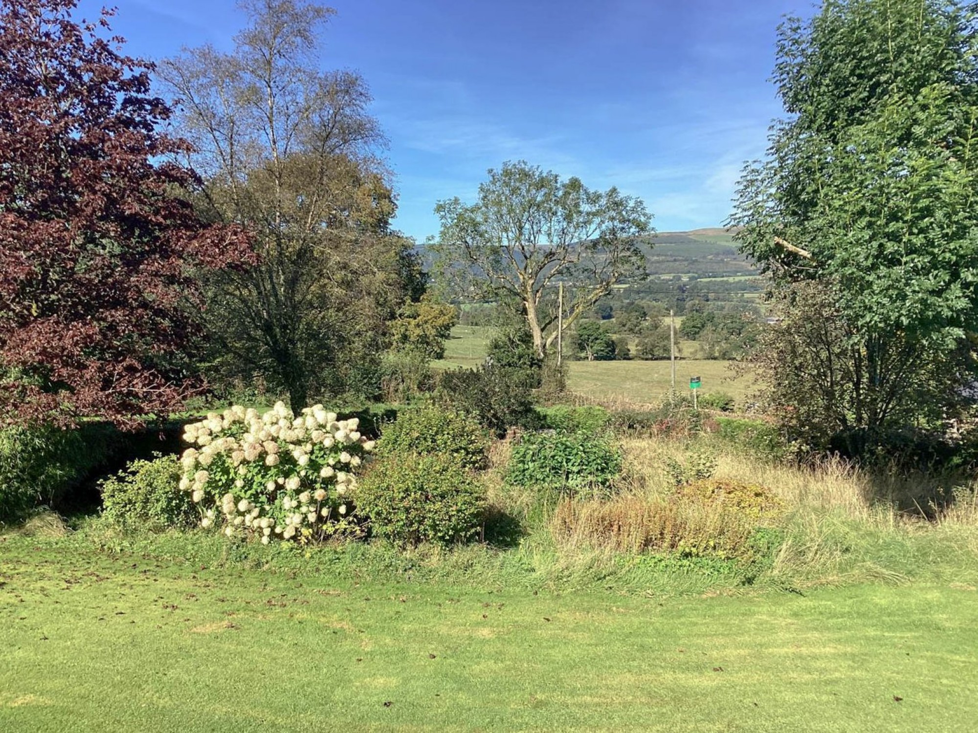 Images for Cefn Gorwydd, Llangammarch Wells, Powys