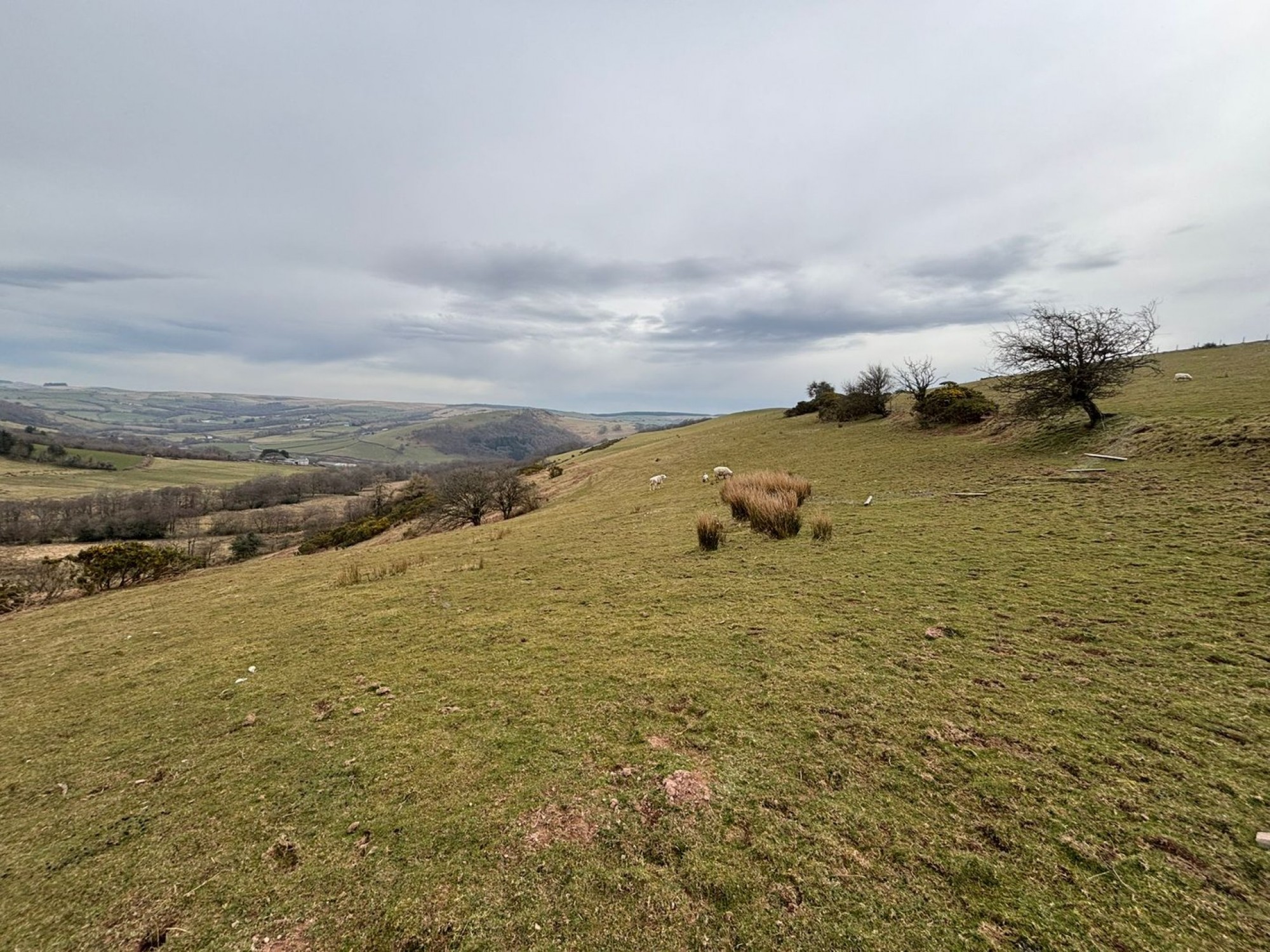 Images for Merthyr Cynog, Brecon, Powys