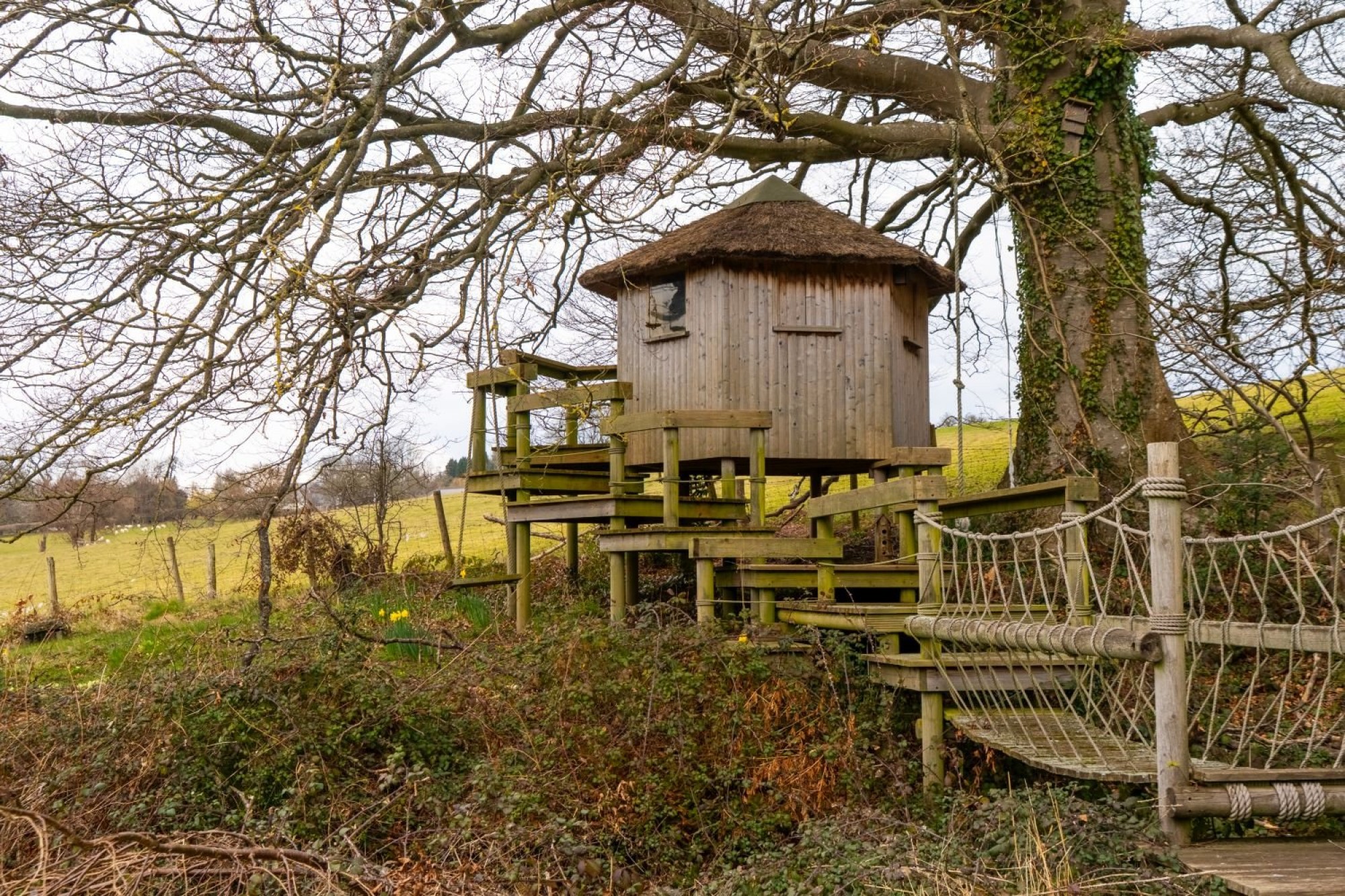Images for Scethrog, Brecon, Powys