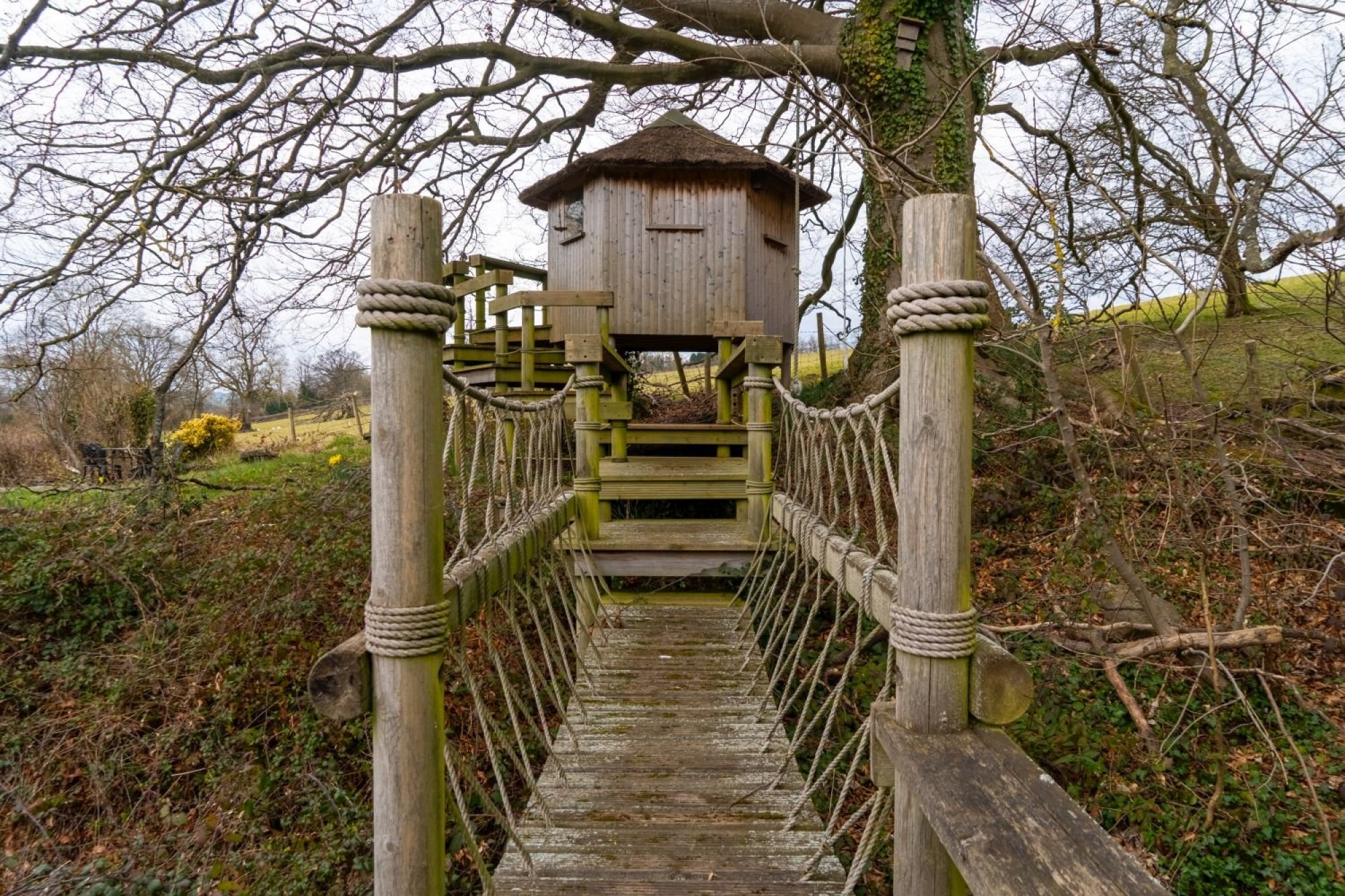 Images for Scethrog, Brecon, Powys