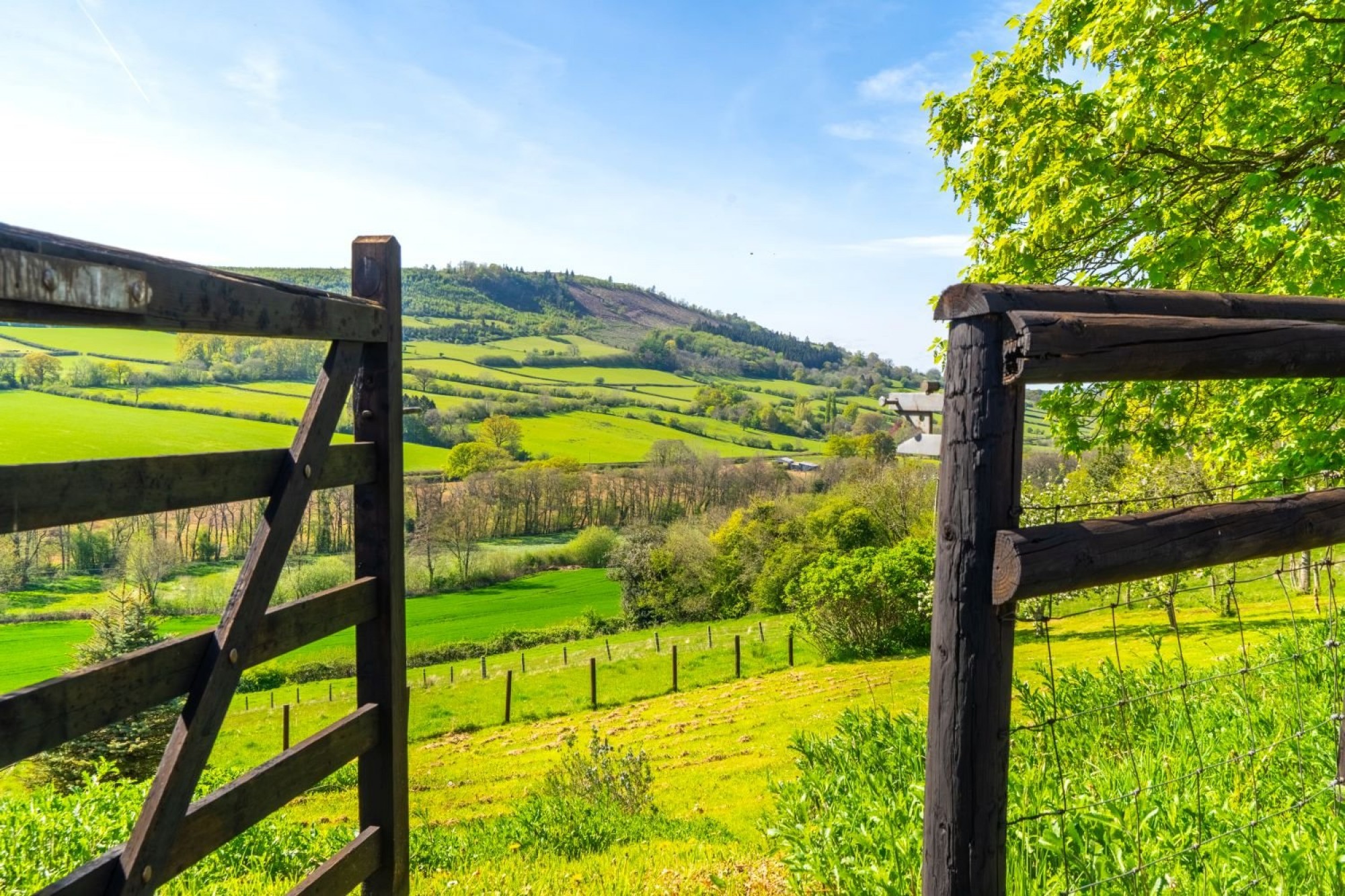 Images for Cathedine, Brecon, Powys
