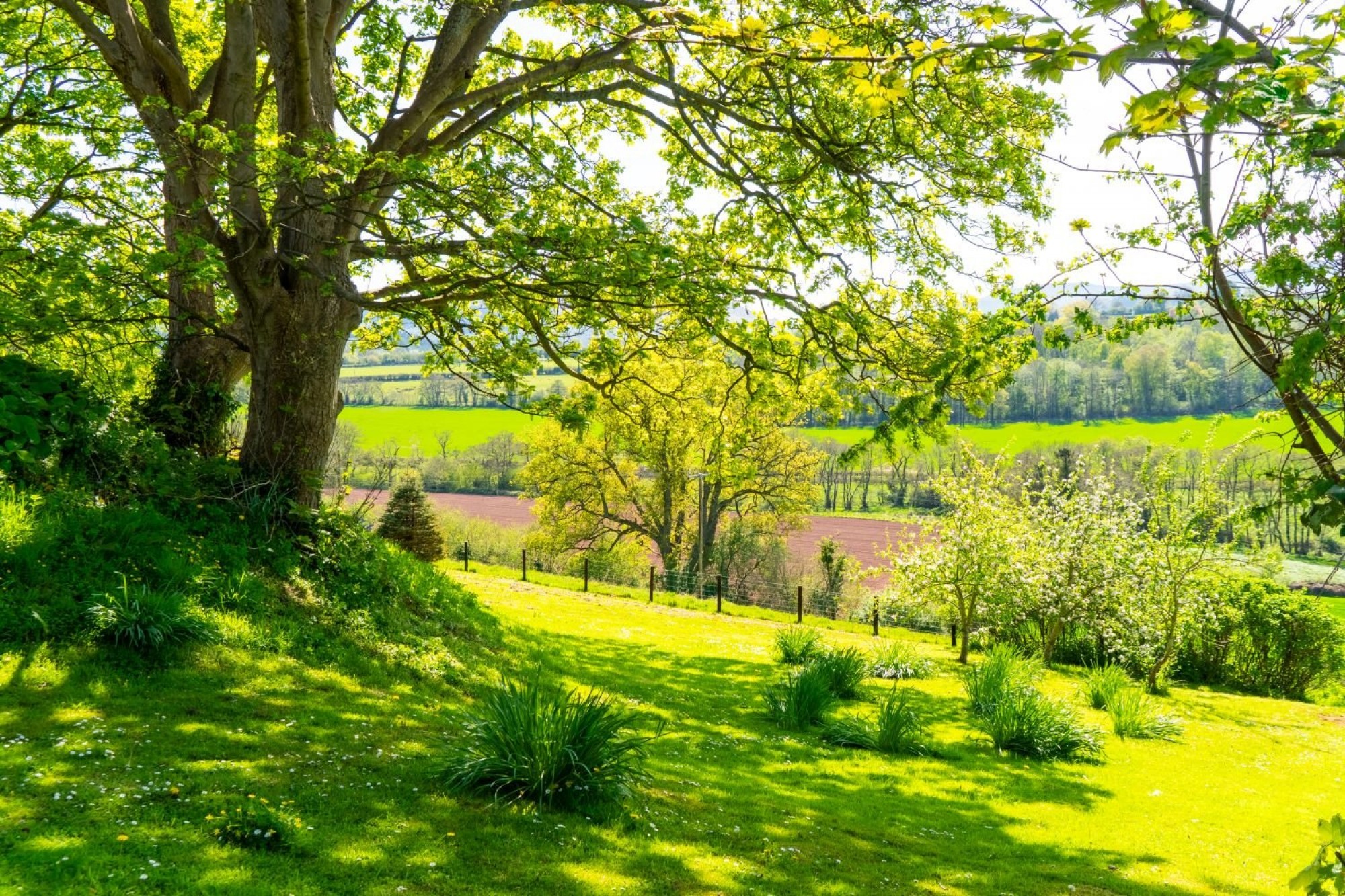 Images for Cathedine, Brecon, Powys