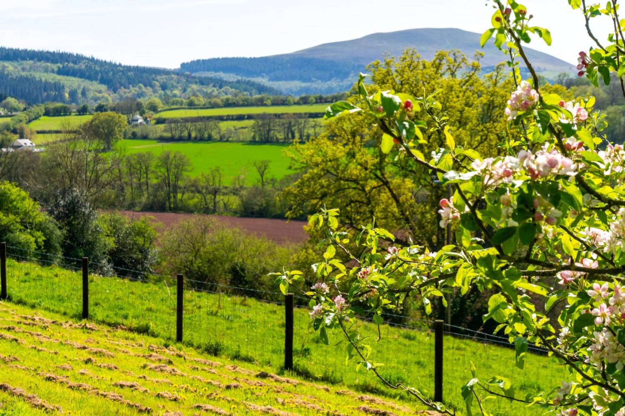Images for Cathedine, Brecon, Powys