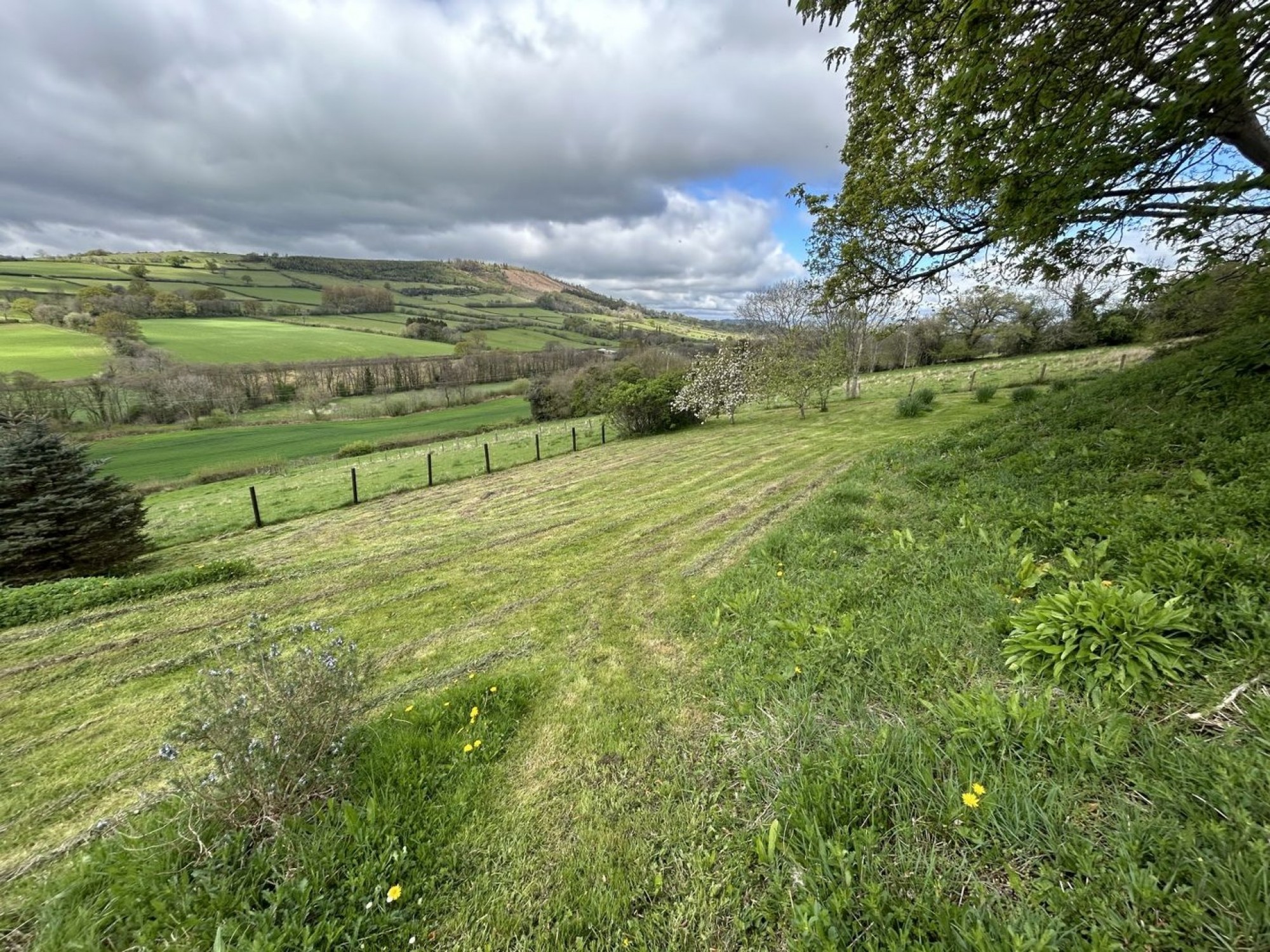 Images for Cathedine, Brecon, Powys