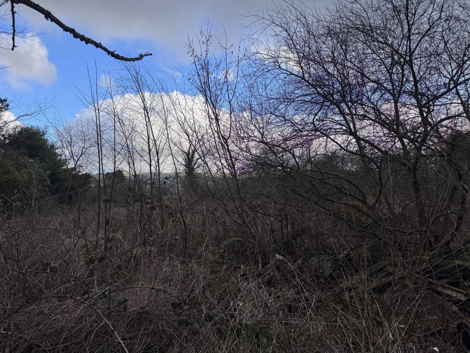Images for Llanyre, Llandrindod Wells, Powys