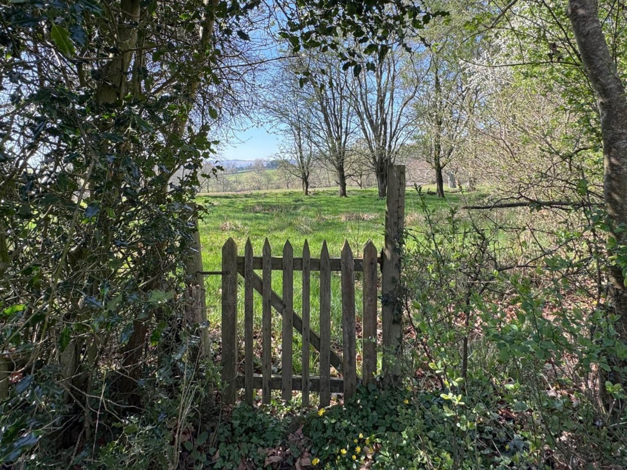 Images for Penybont, Llandrindod Wells, Powys
