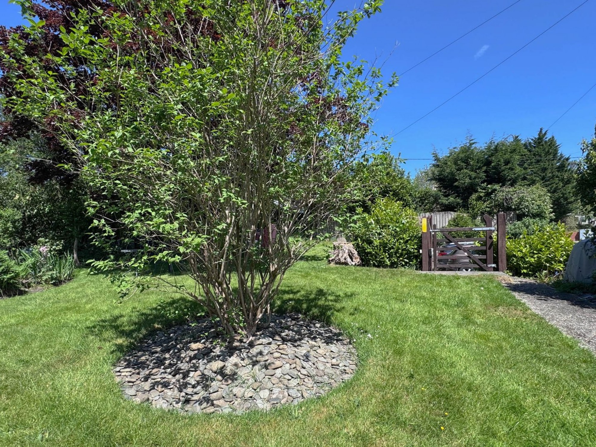 Images for Irfon Terrace, Llanwrtyd Wells, Powys