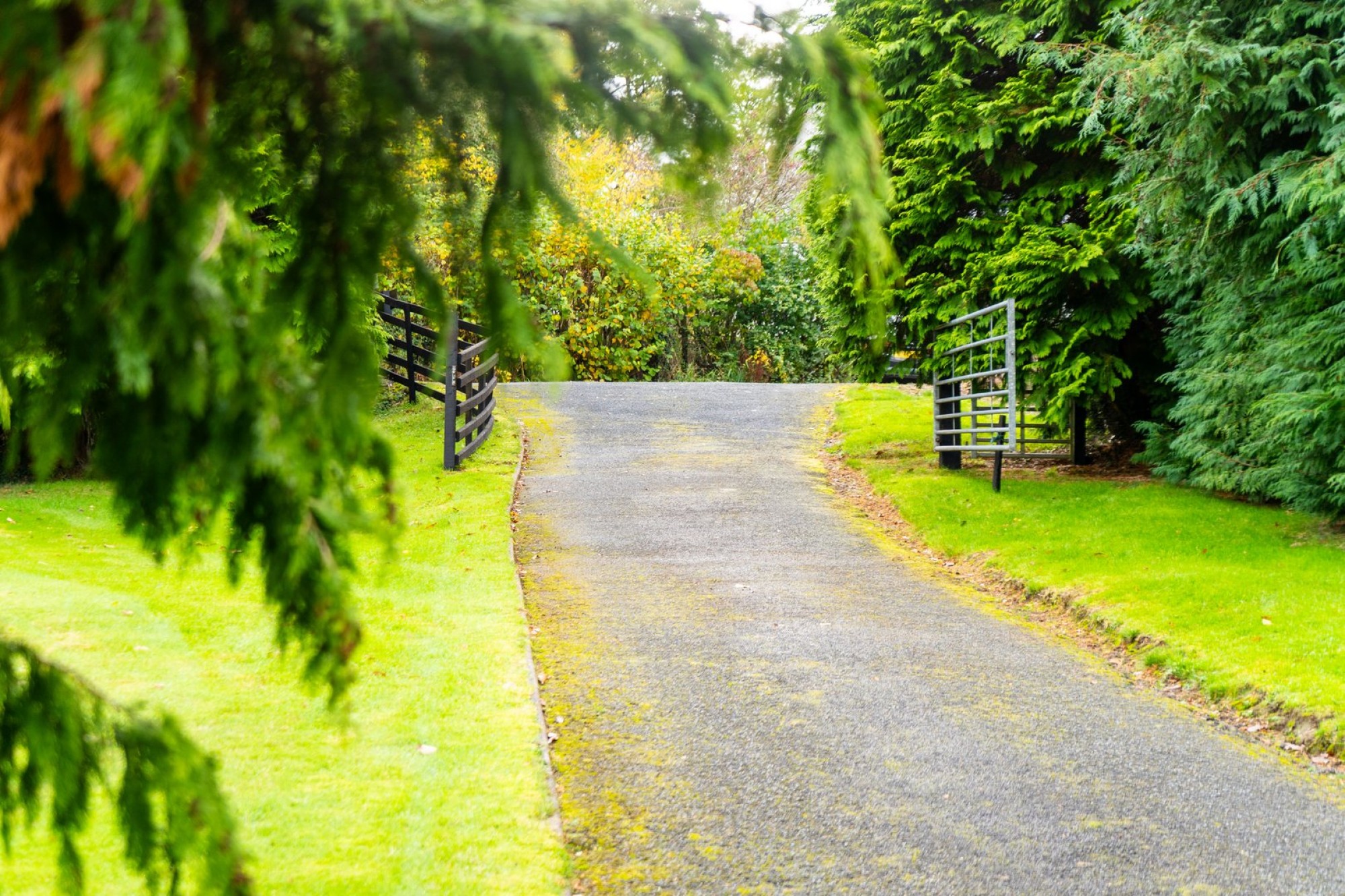 Images for Llangammarch Wells, Powys