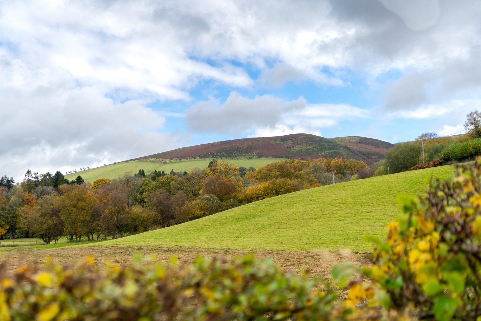 Images for Llangammarch Wells, Powys