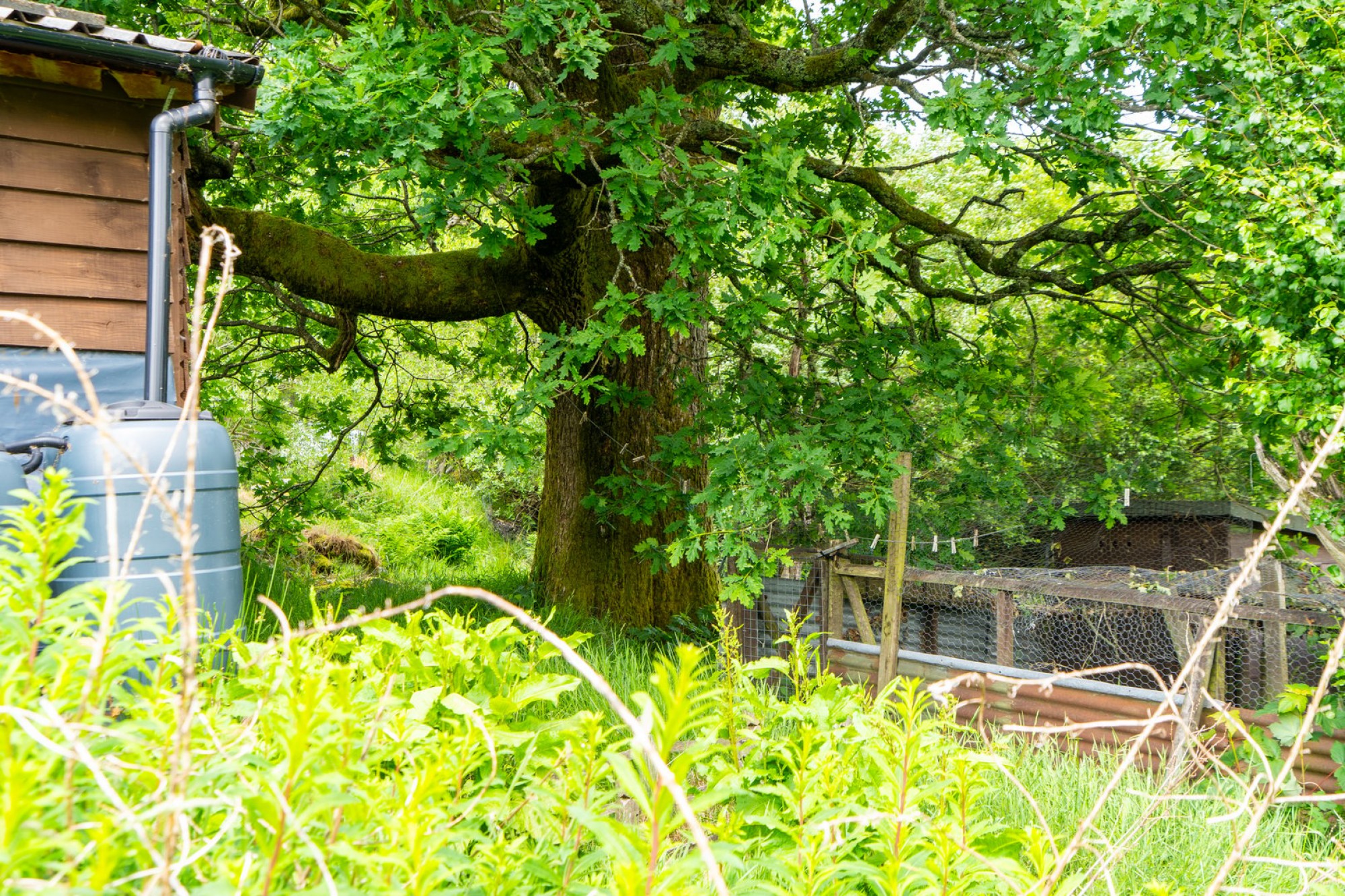 Images for Llanwrthwl, Llandrindod Wells, Powys