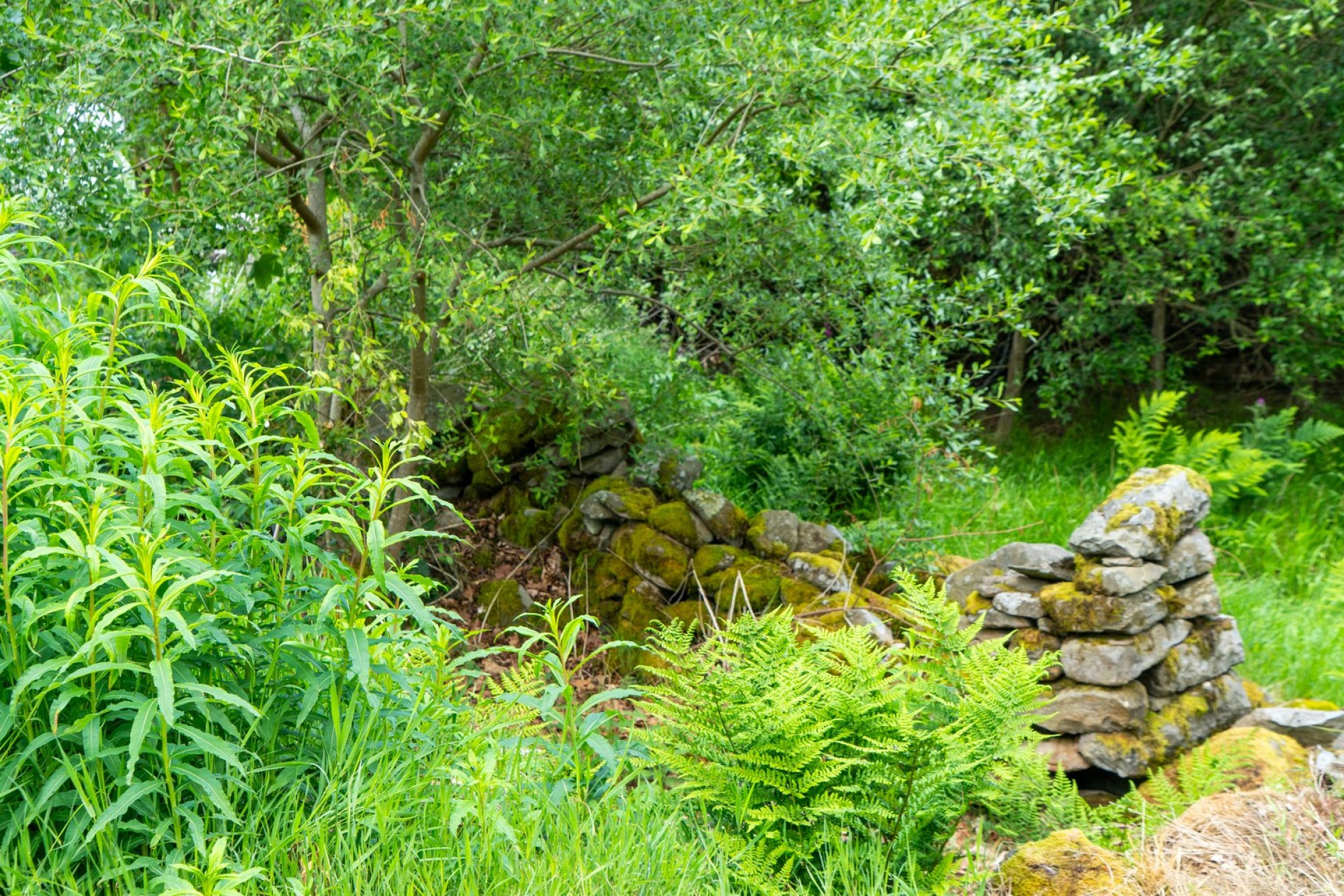 Images for Llanwrthwl, Llandrindod Wells, Powys