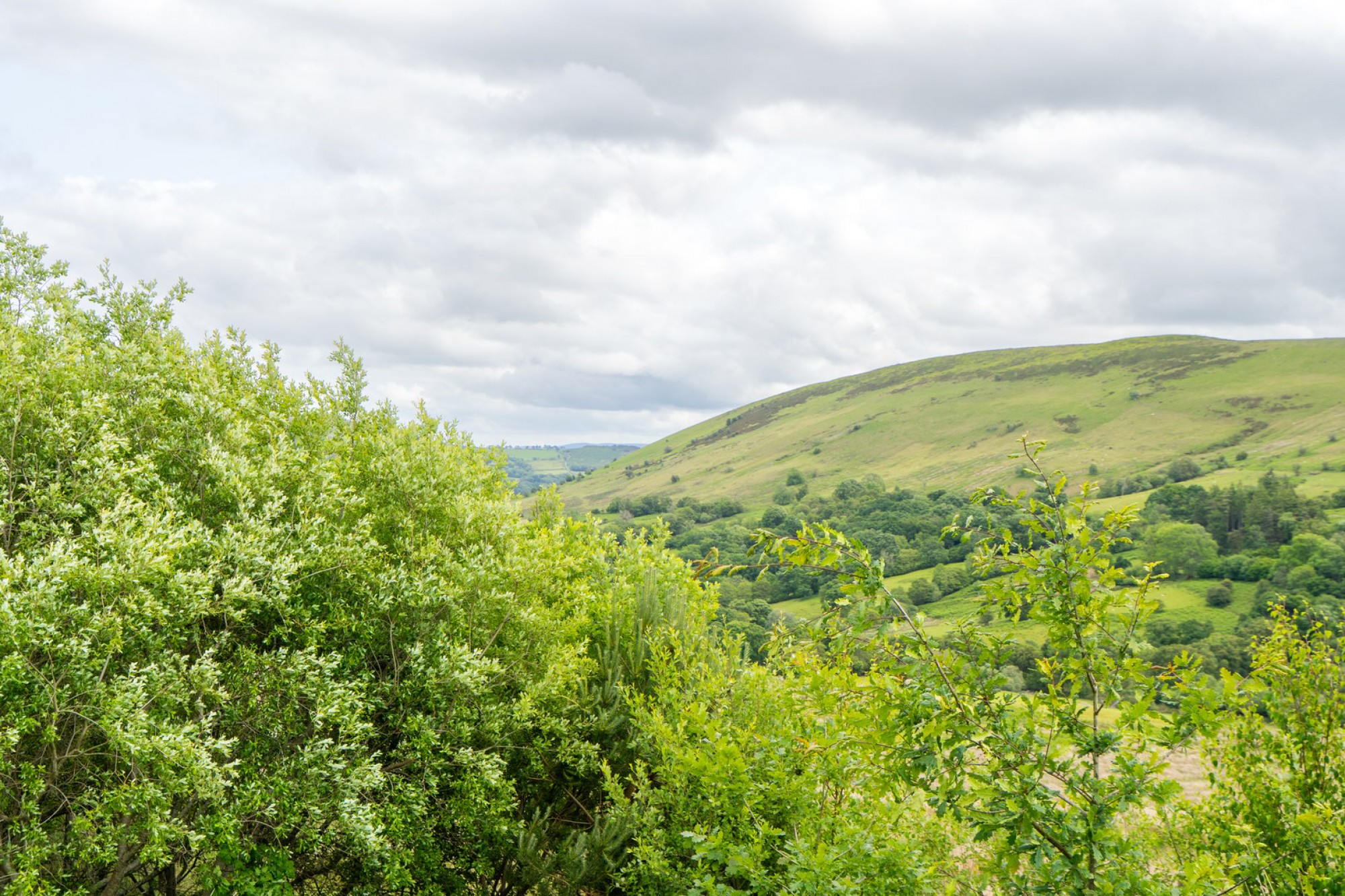 Images for Llanwrthwl, Llandrindod Wells, Powys