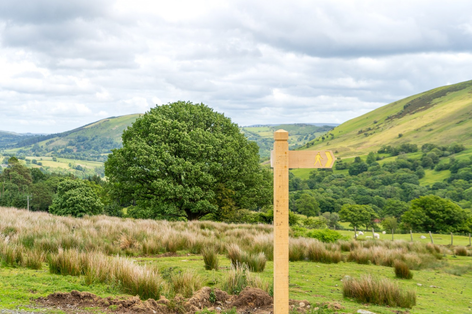 Images for Llanwrthwl, Llandrindod Wells, Powys