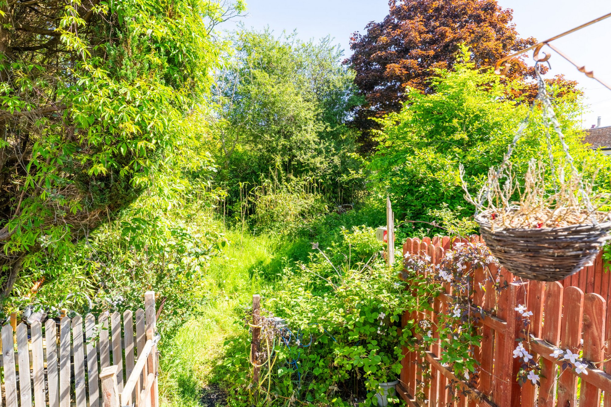 Images for Dolecoed Road, Llanwrtyd Wells, Powys