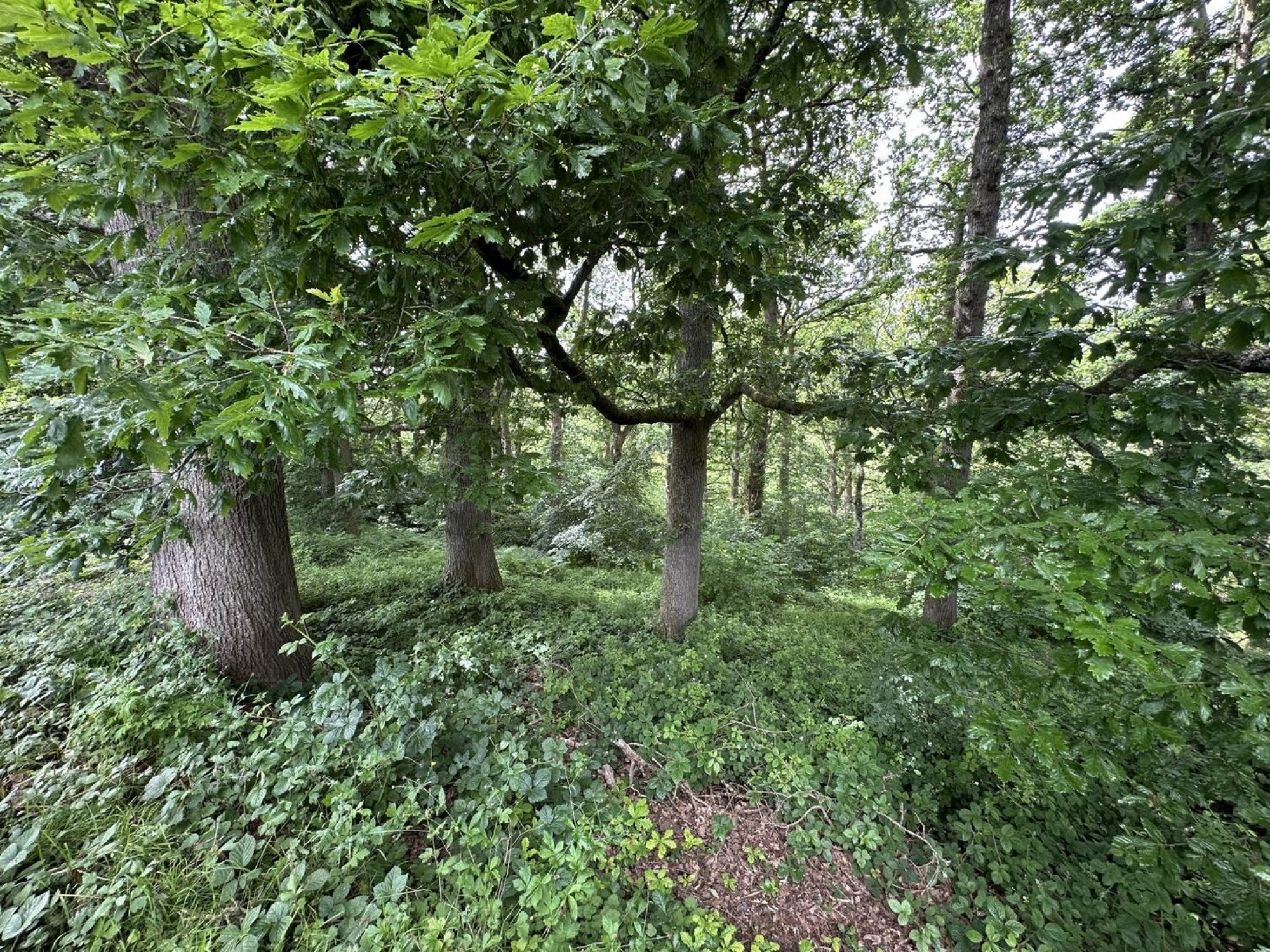 Images for Sennybridge, Brecon, Powys