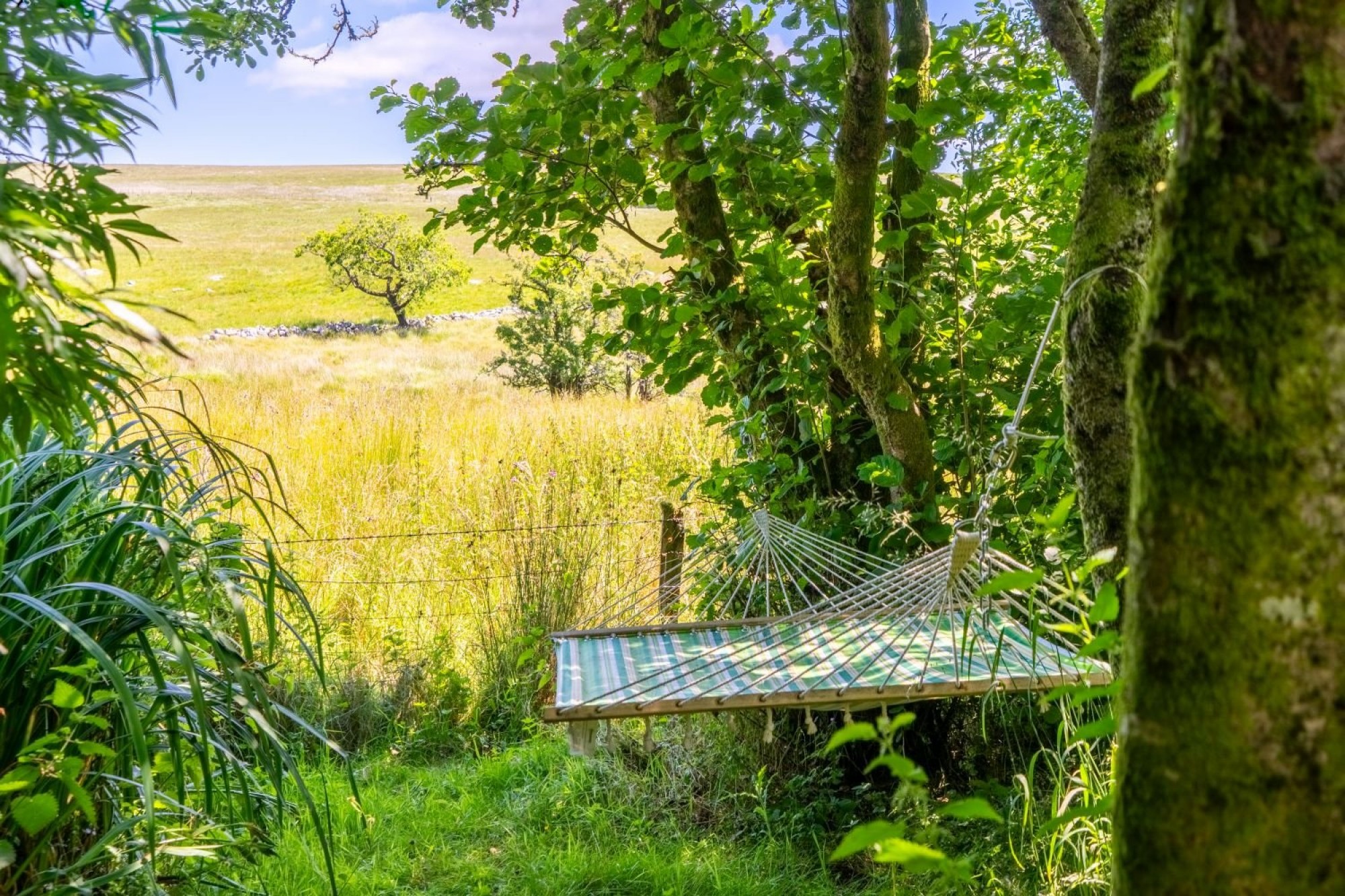 Images for Penderyn, Aberdare, Mid Glamorgan