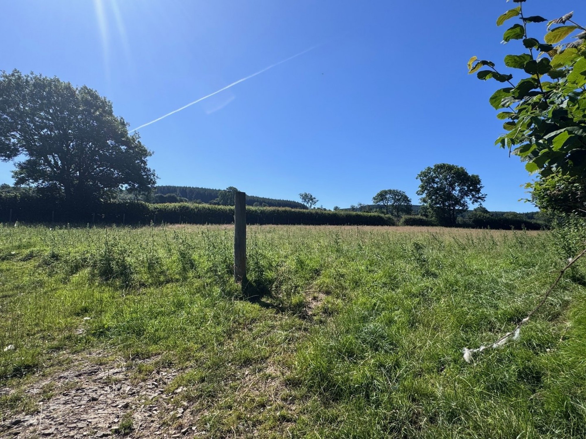 Images for Cefn Gorwydd, Llangammarch Wells, Powys