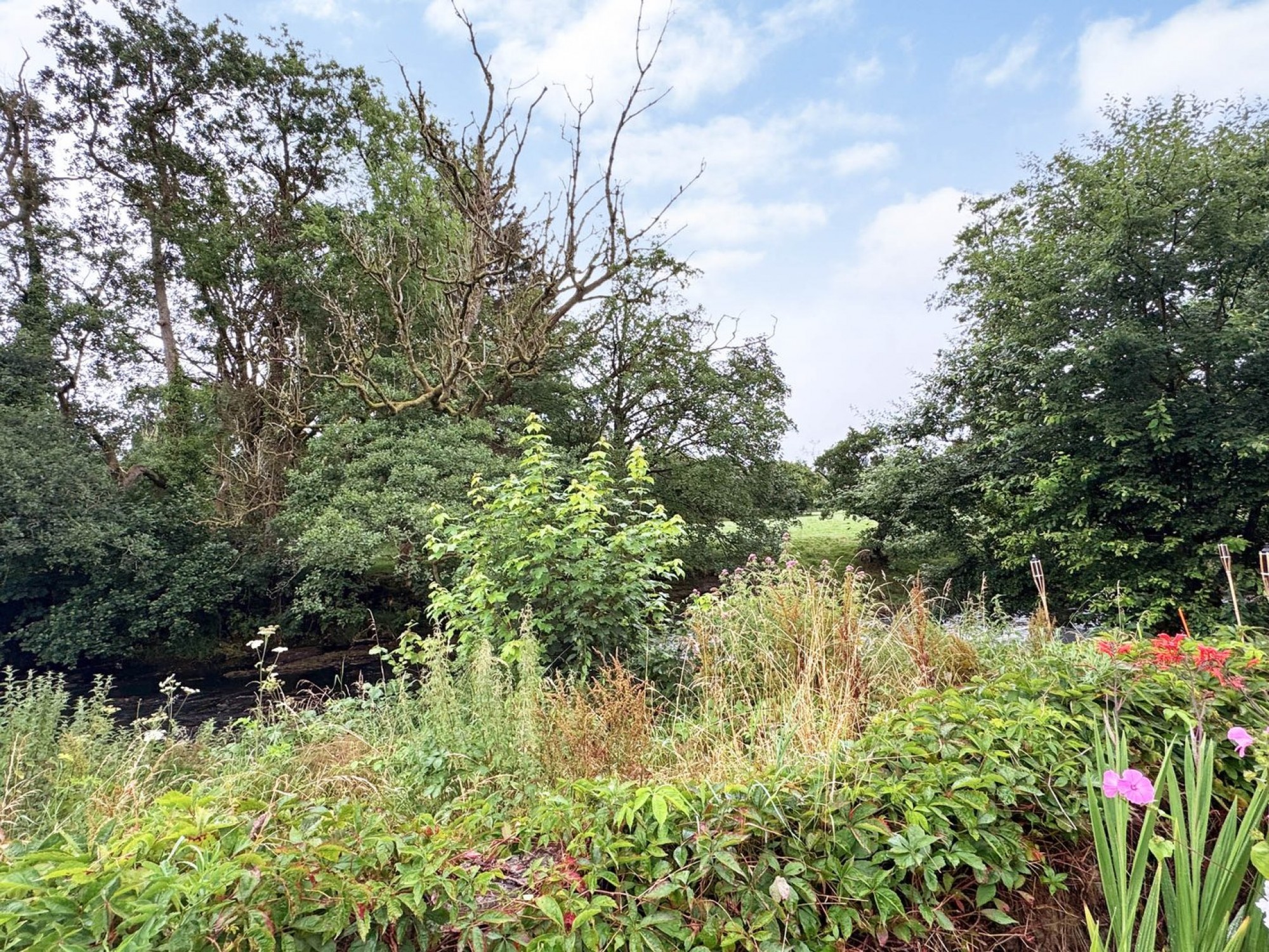 Images for Riverside, Llanwrtyd Wells, Powys