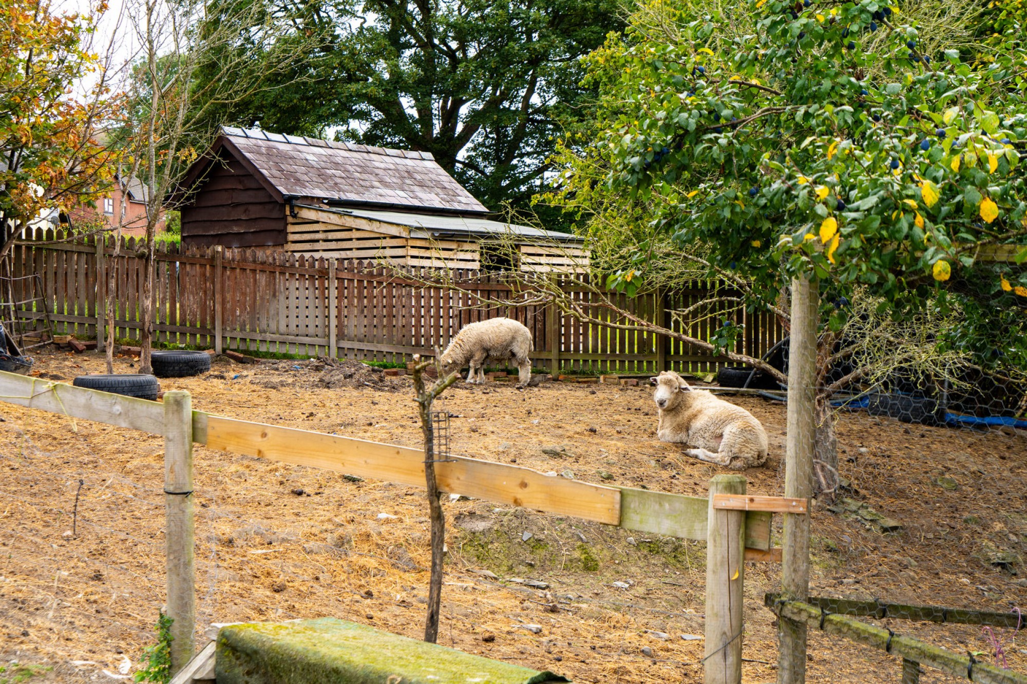Images for Llandegley, Llandrindod Wells, Powys