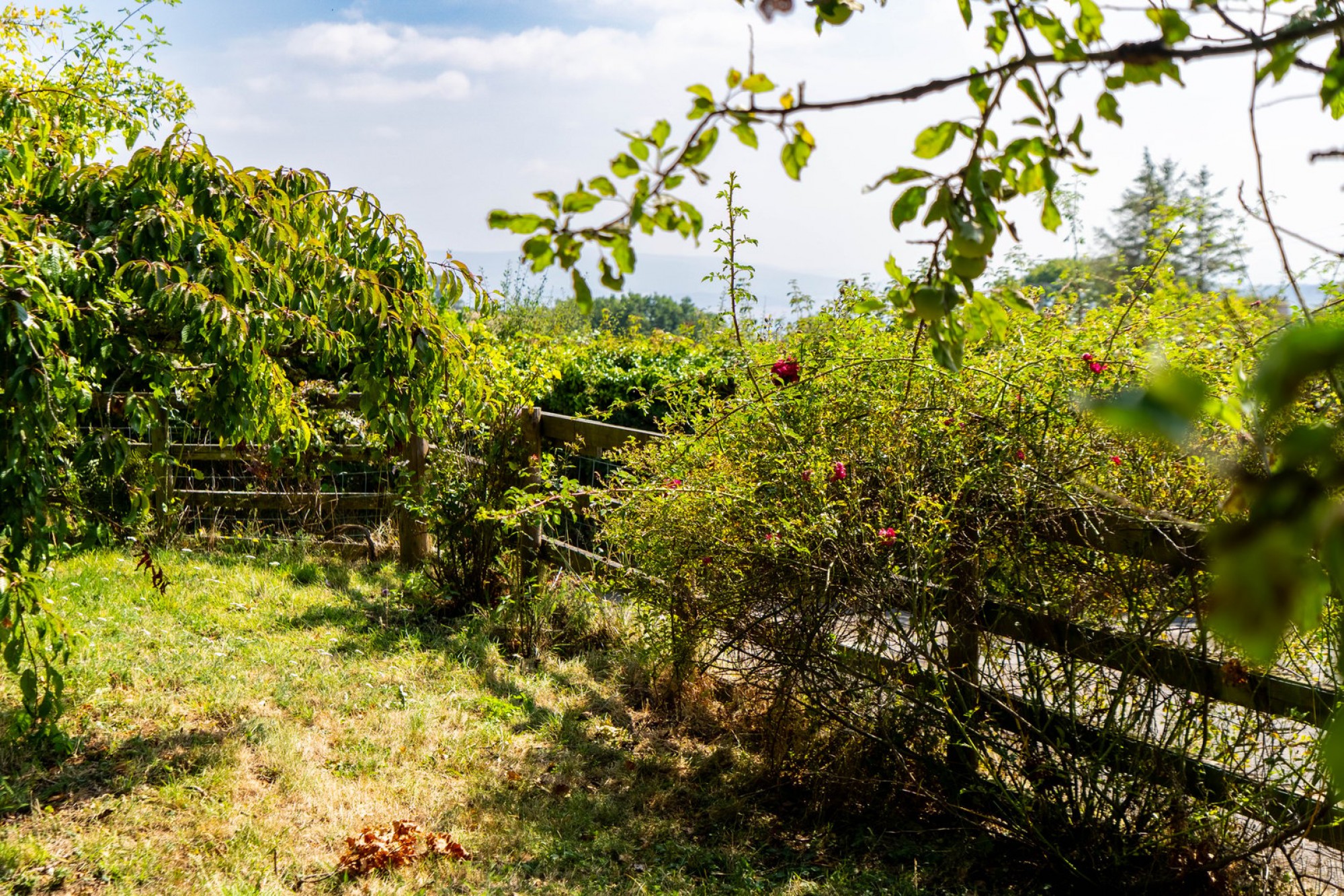 Images for Llandeilo Graban, Builth Wells, Powys