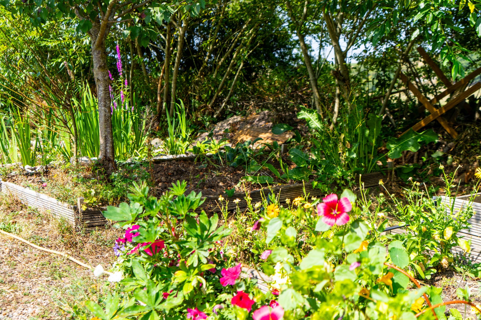 Images for Llandeilo Graban, Builth Wells, Powys