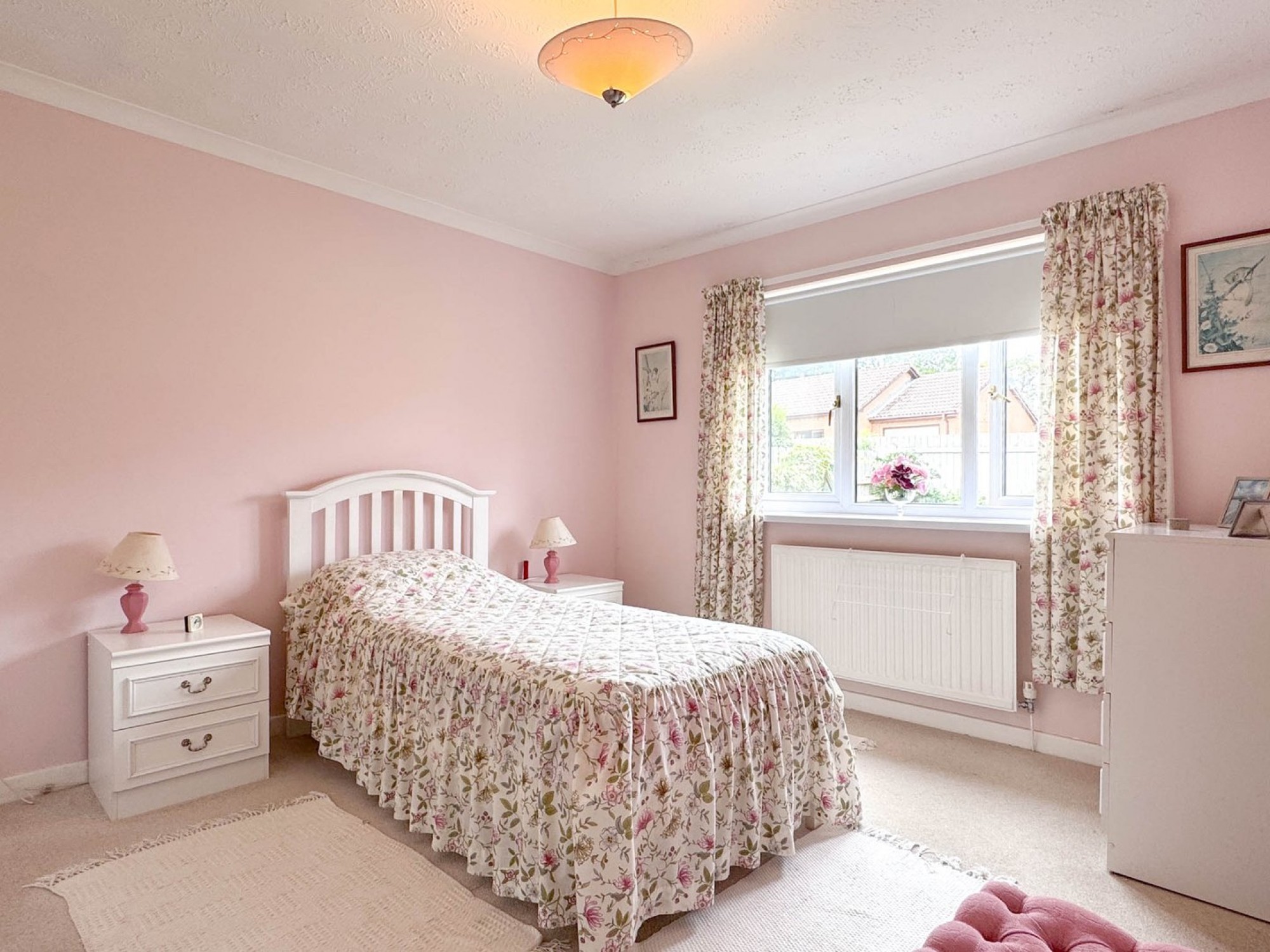 Images for Daffodil Wood, Builth Wells, Powys