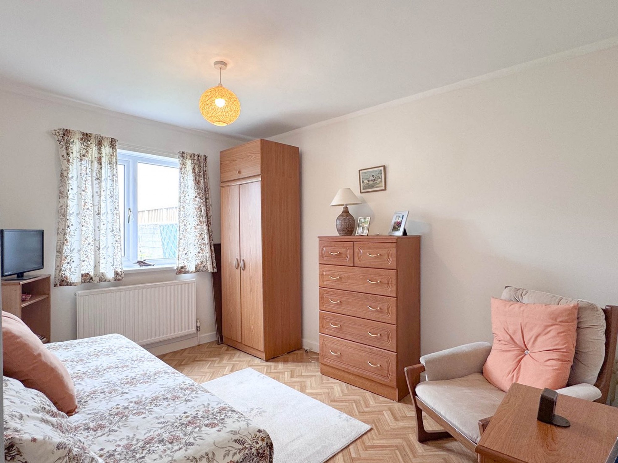Images for Daffodil Wood, Builth Wells, Powys