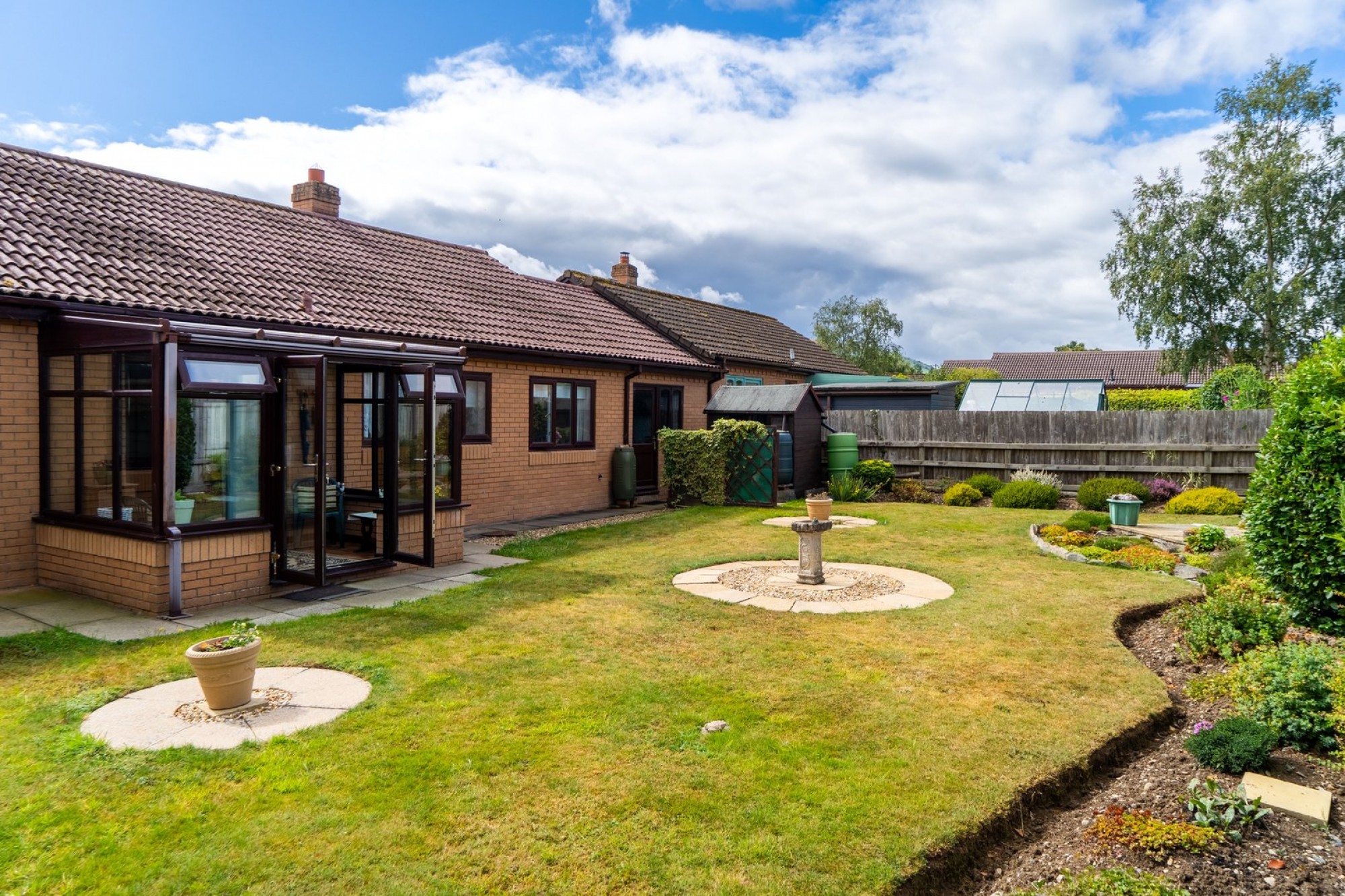 Images for Daffodil Wood, Builth Wells, Powys