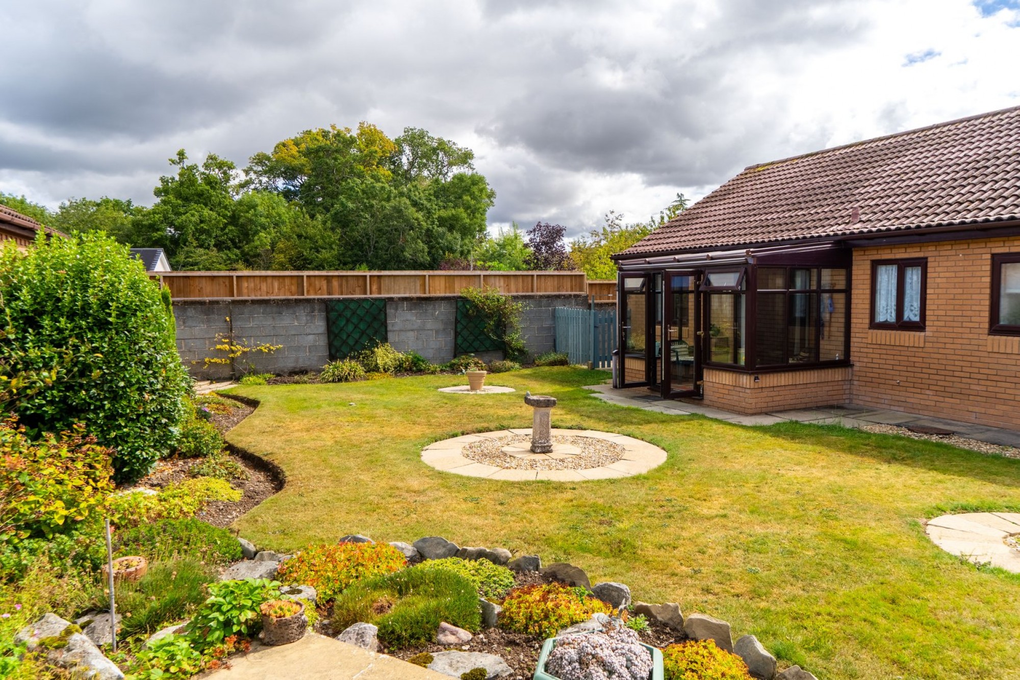 Images for Daffodil Wood, Builth Wells, Powys