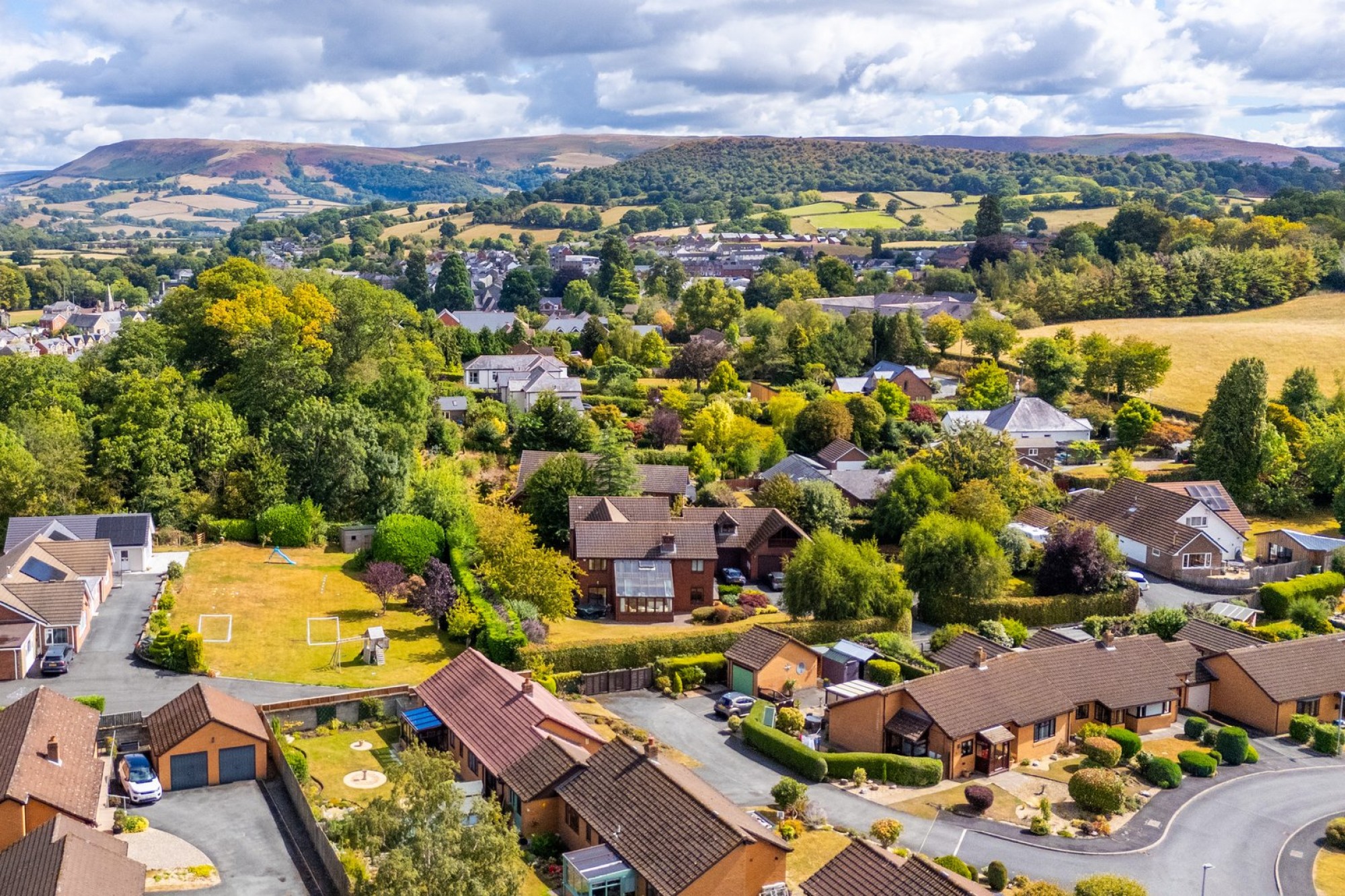 Images for Daffodil Wood, Builth Wells, Powys