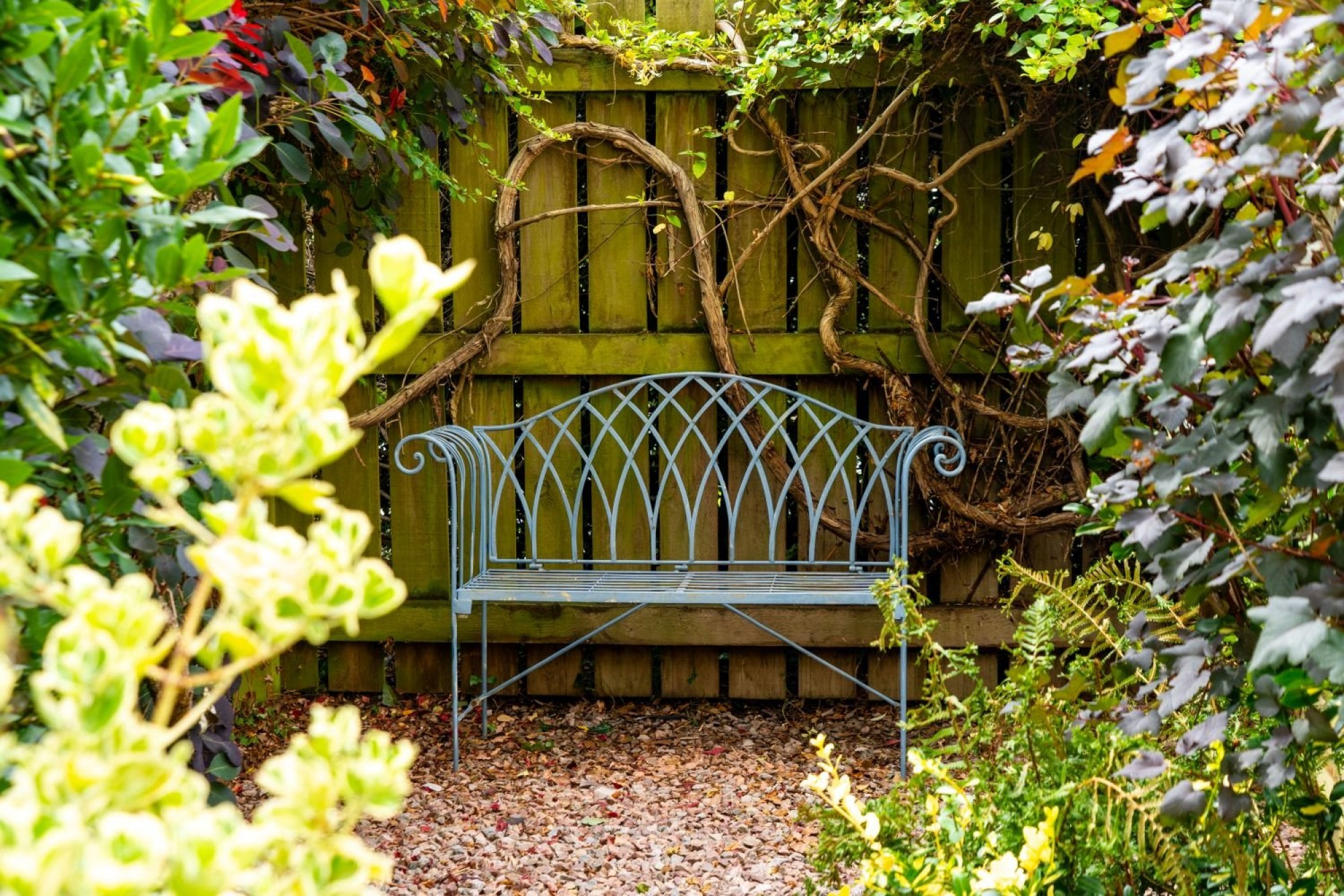 Images for Brecon, Powys