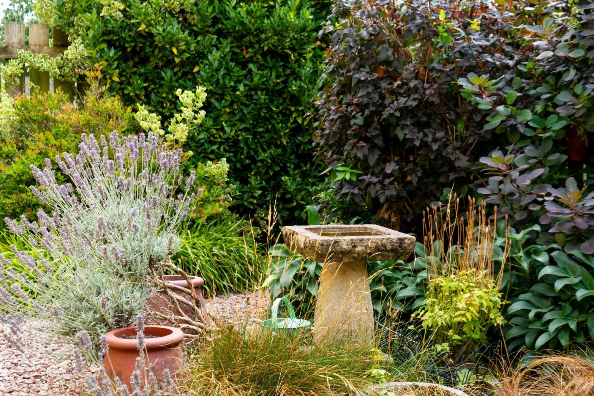 Images for Brecon, Powys